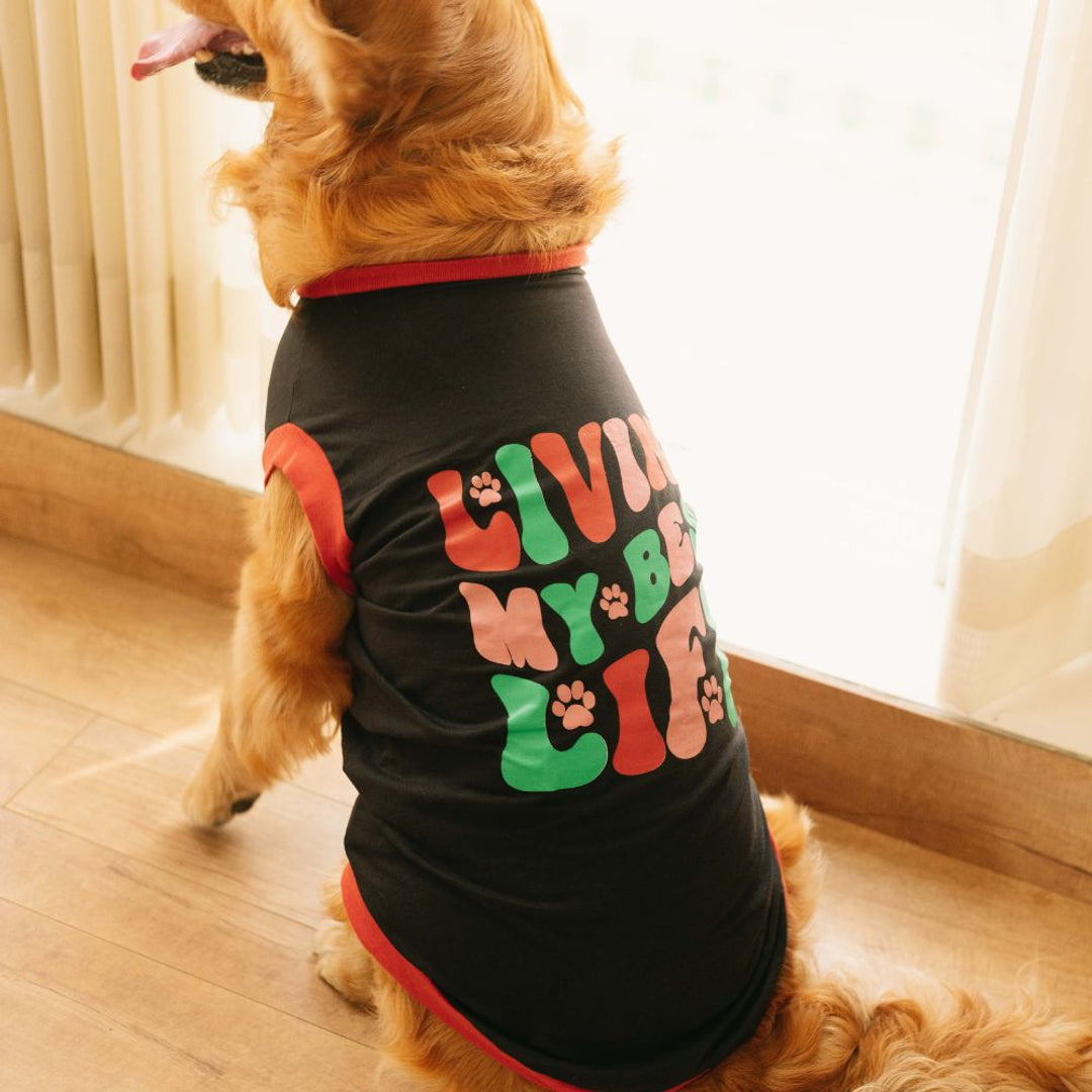 Pet Set Go Facebook ad