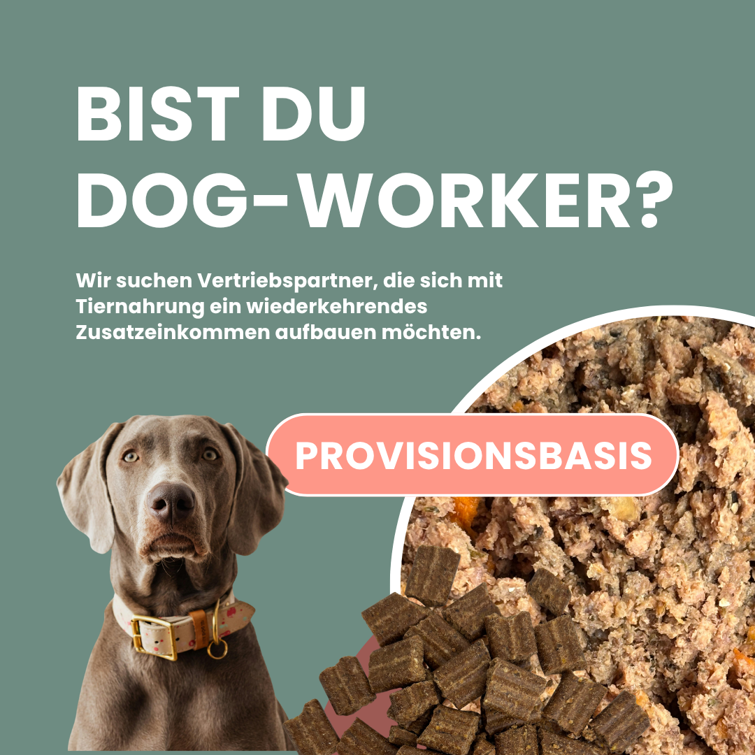 Hundemahlzeit.de Facebook ad: Verdopple deine Einnahmen mit Reico Tiernahrung