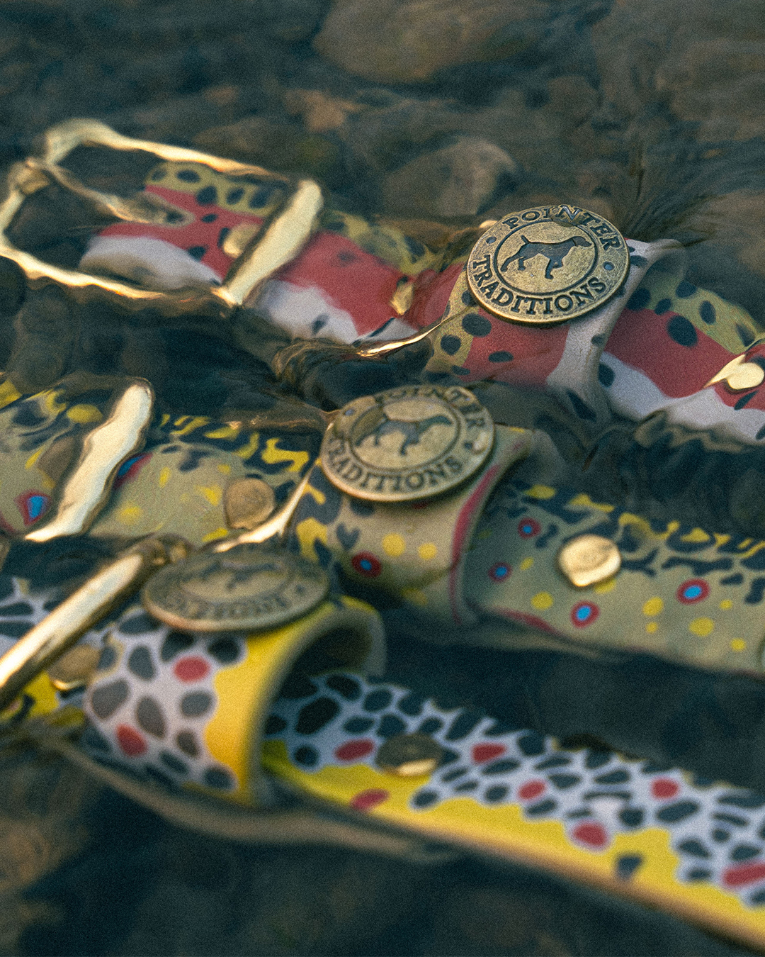 Pointer Traditions Facebook ad: Your dog deserves this collar.