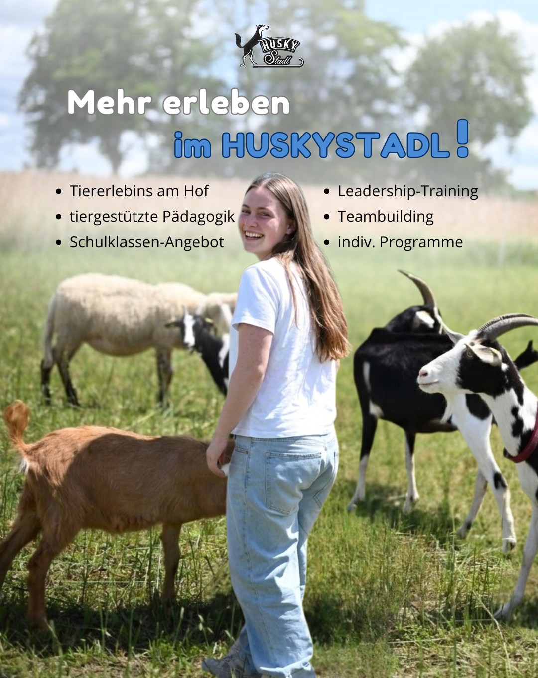 Husky-Stadl Waldviertel Facebook ad: ๐๐ฒ๐ฑ๐ฒ ๐ ๐ฒ๐ป๐ด๐ฒ ๐ฒ๐ฟ๐น๐ฒ๐ฏ๐ฒ๐ป ๐ถ๐บโฆ