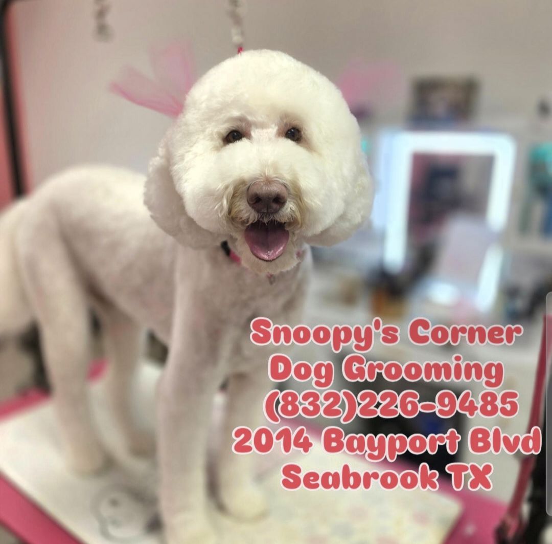 Snoopy's Corner Dog Grooming Facebook ad