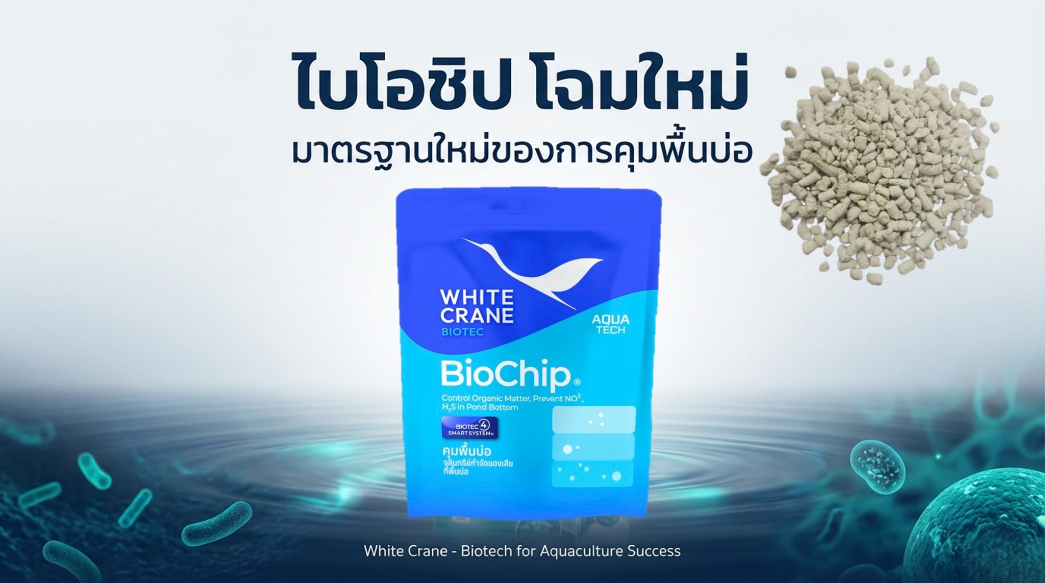 White Crane Shrimp Master Facebook ad: พื้นบ่อเน่า ก๊าซพิษพุ่ง!