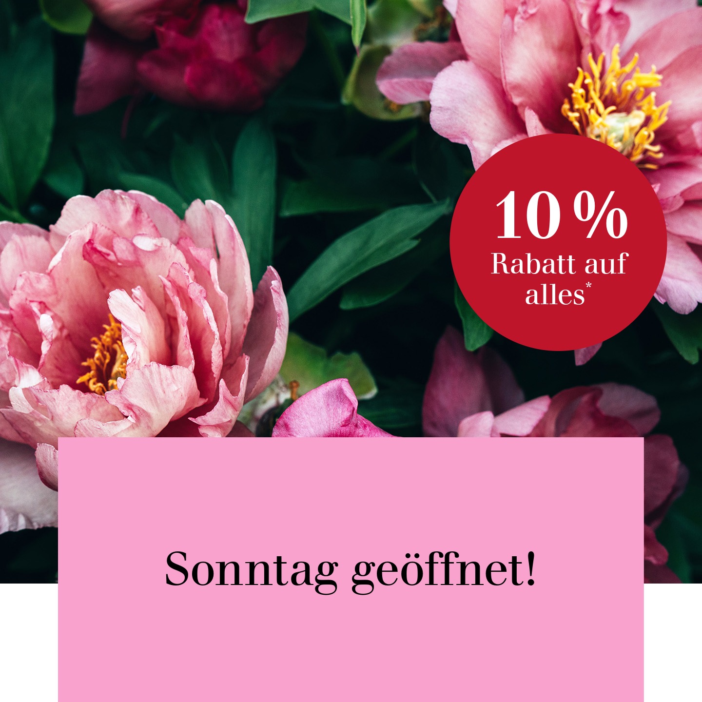 Dehner Facebook ad