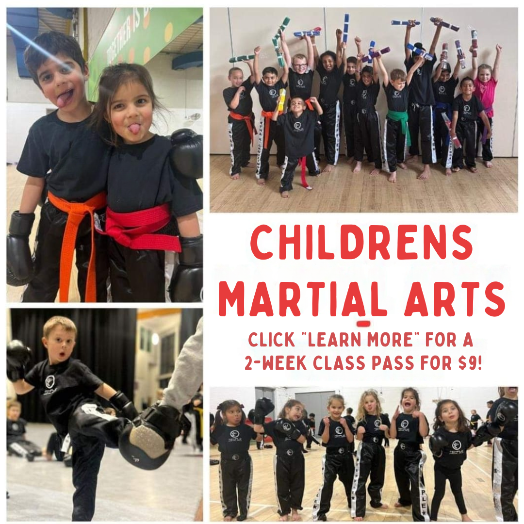 Marietta Kids Karate Facebook ad: Want a 2-Week, Kids Martial Arts Class Pass For $9?