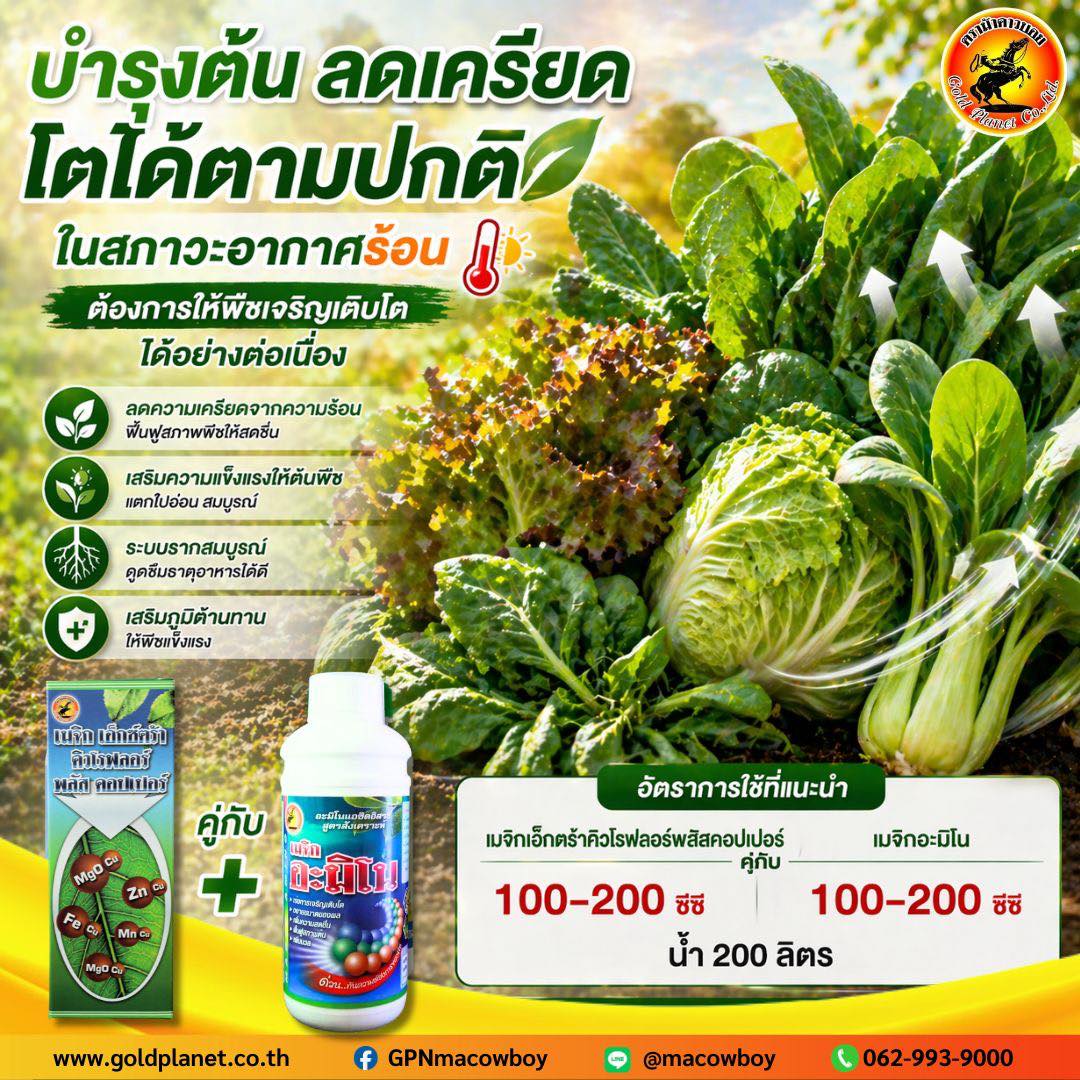 Gold Planet - ตราม้าคาวบอย Facebook ad