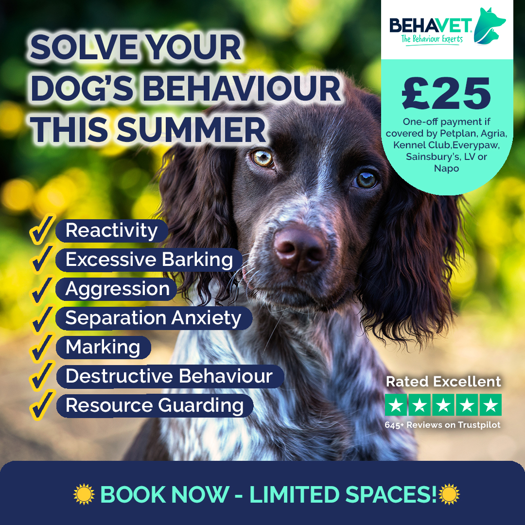 Behavet: The Pet Behaviour Experts Facebook ad
