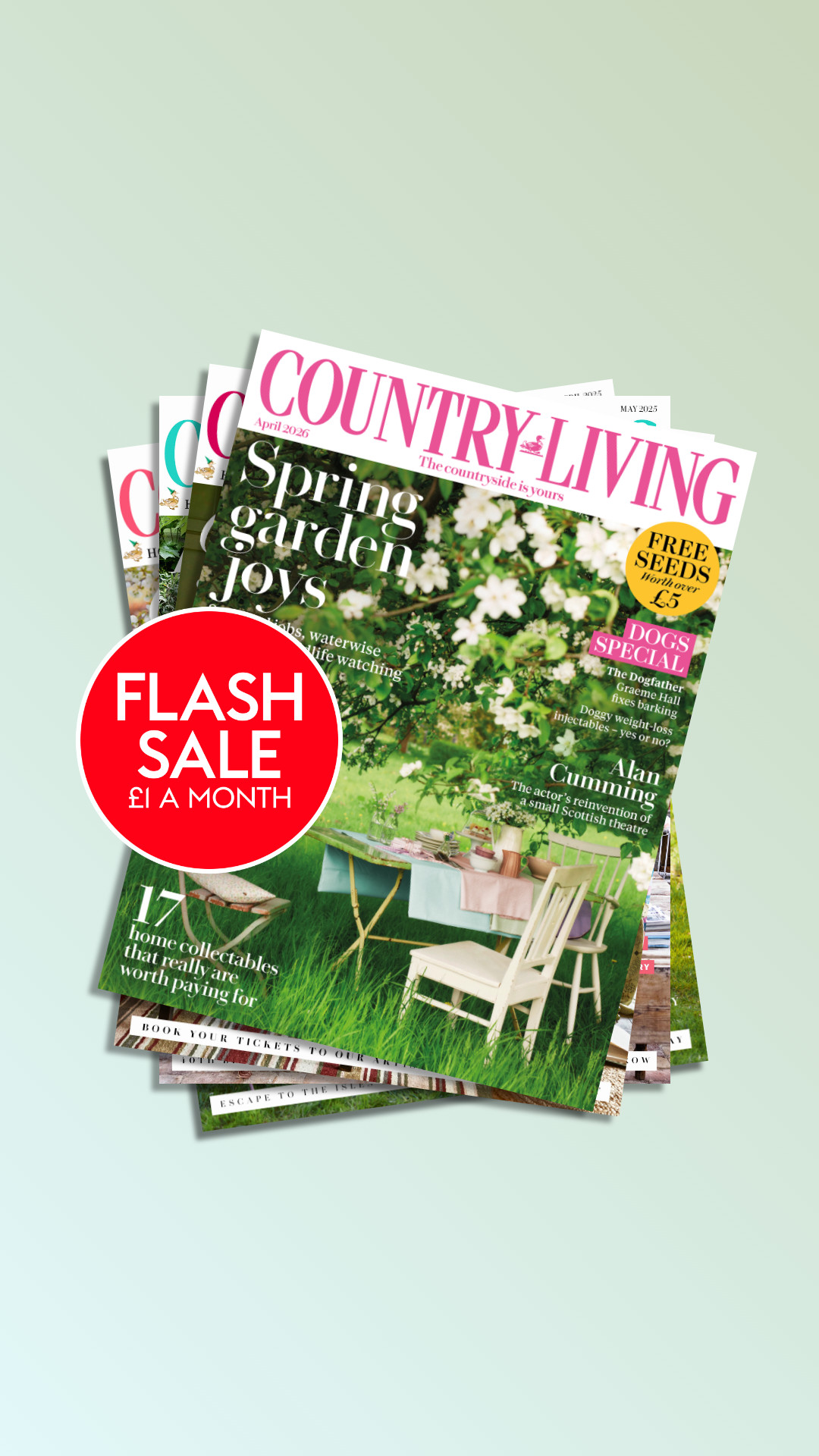 Country Living Magazine Facebook ad