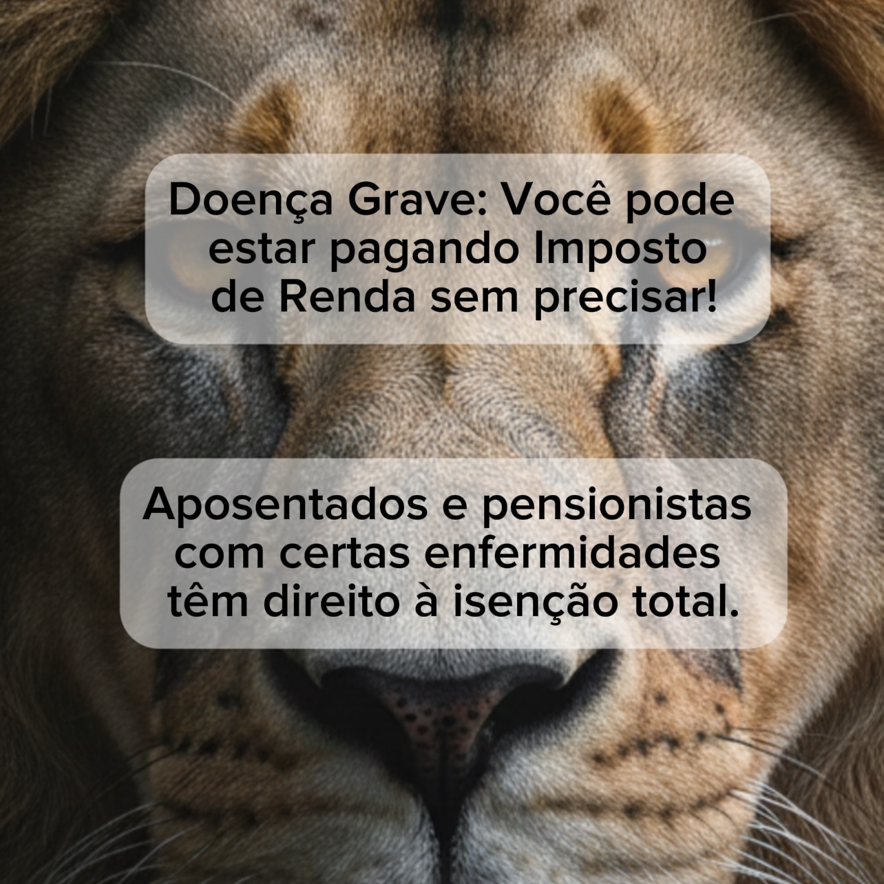 eliesersa_ Facebook ad: IMPORTANTE esclarecer que a isenção não é automática.