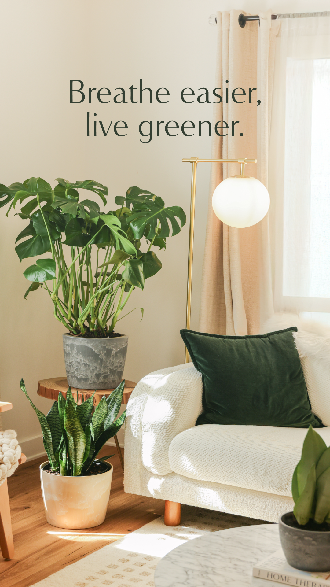 Lively Root Facebook ad