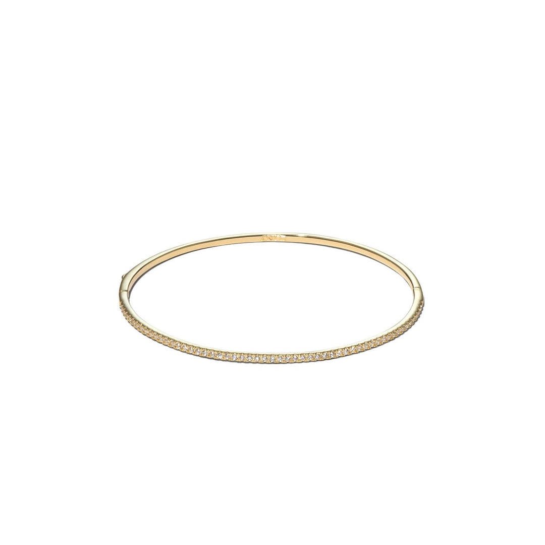 ANI Jewels Facebook ad: Discover our timeless jewelry by Bianca Ingrosso and…