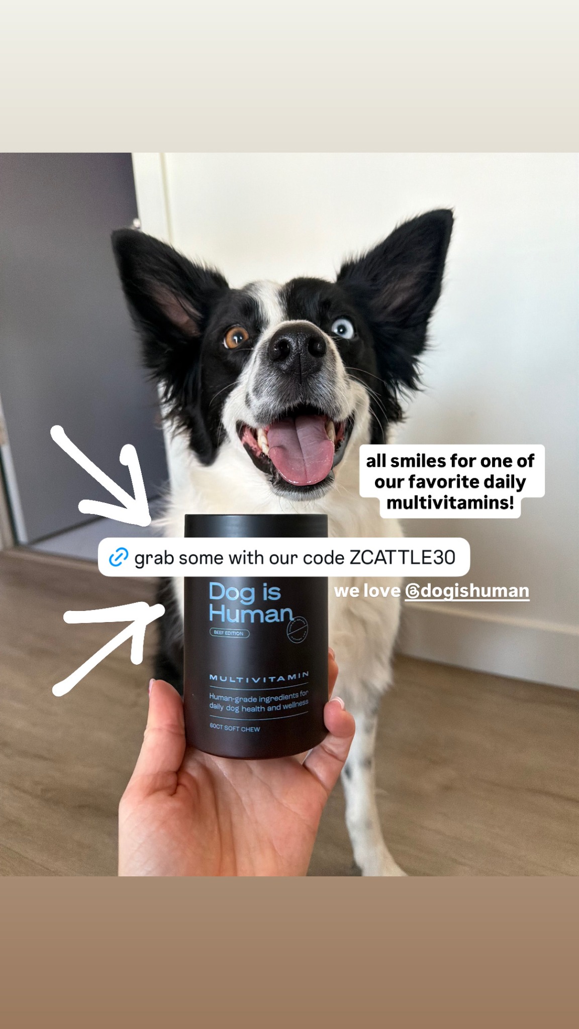 Dog is Human Facebook ad