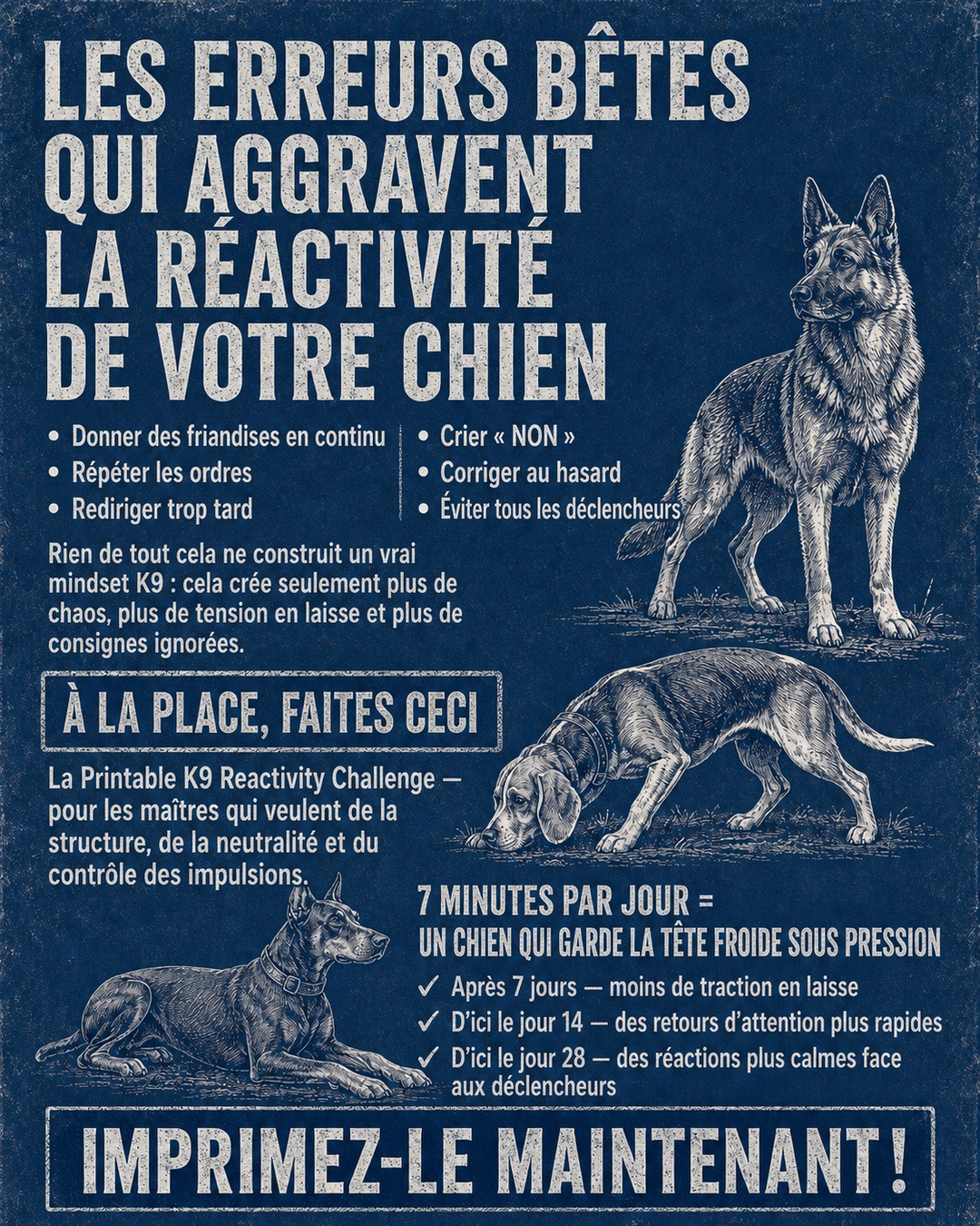 Reactive Dogs Club Facebook ad