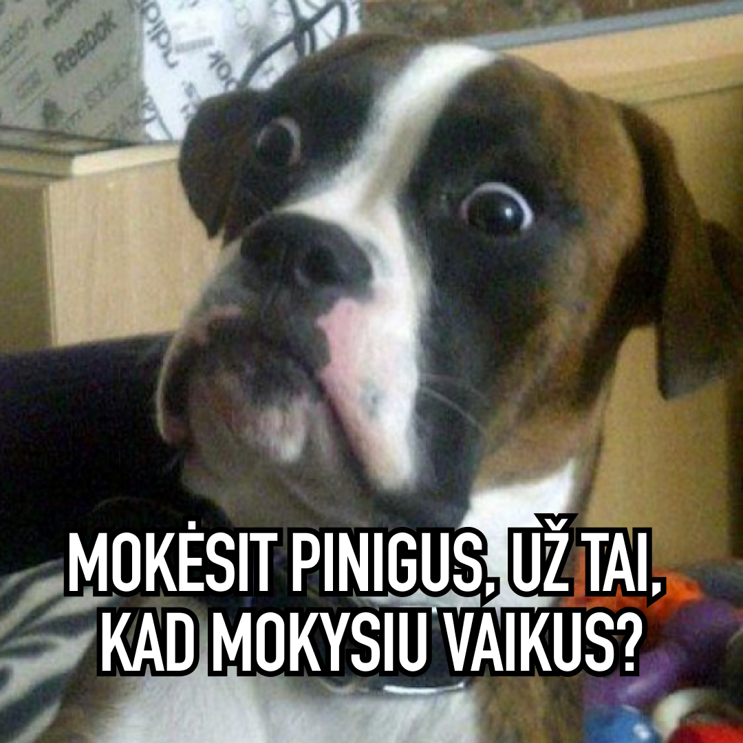 Digiklasė - by Memby Facebook ad