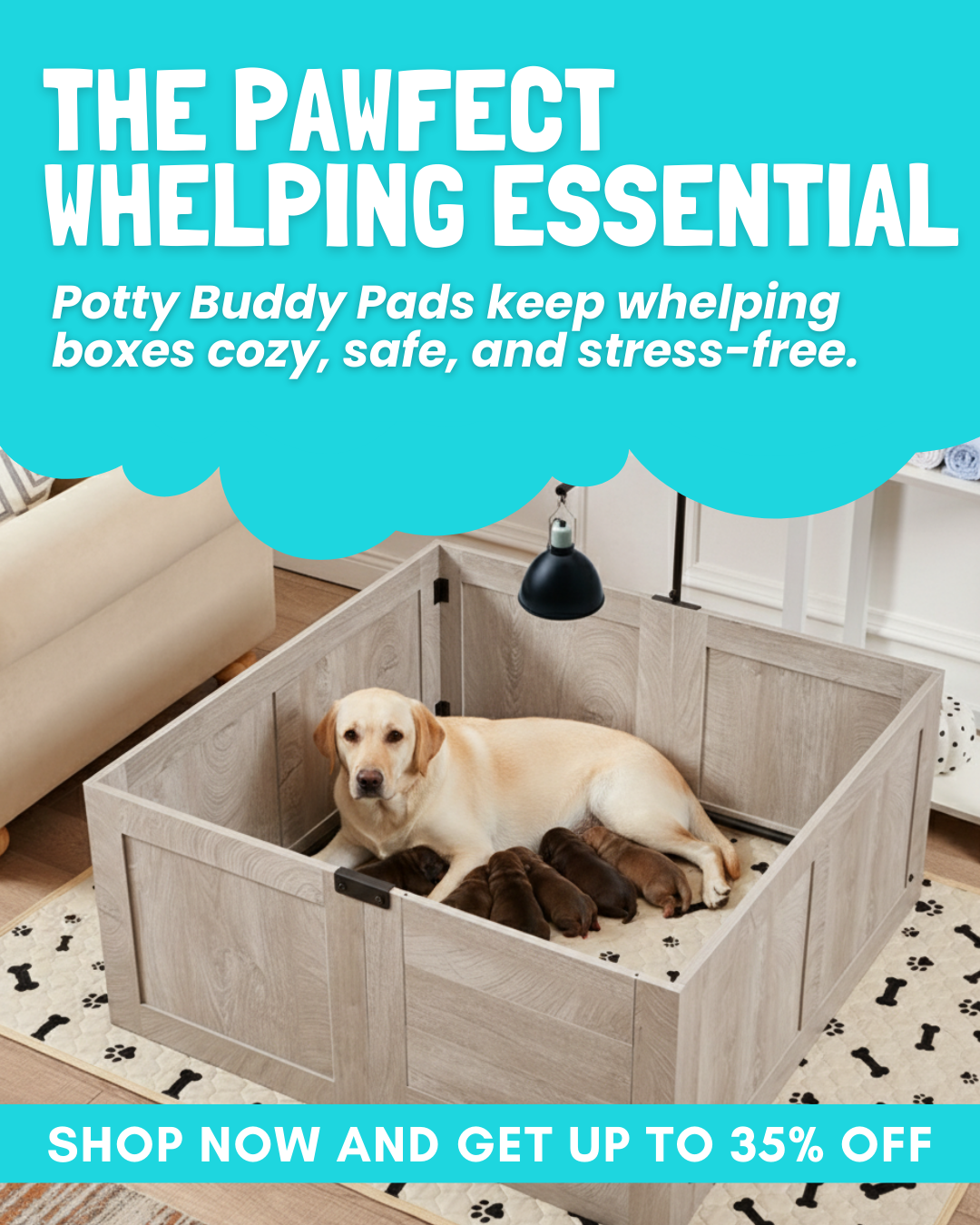 Potty Buddy Facebook ad