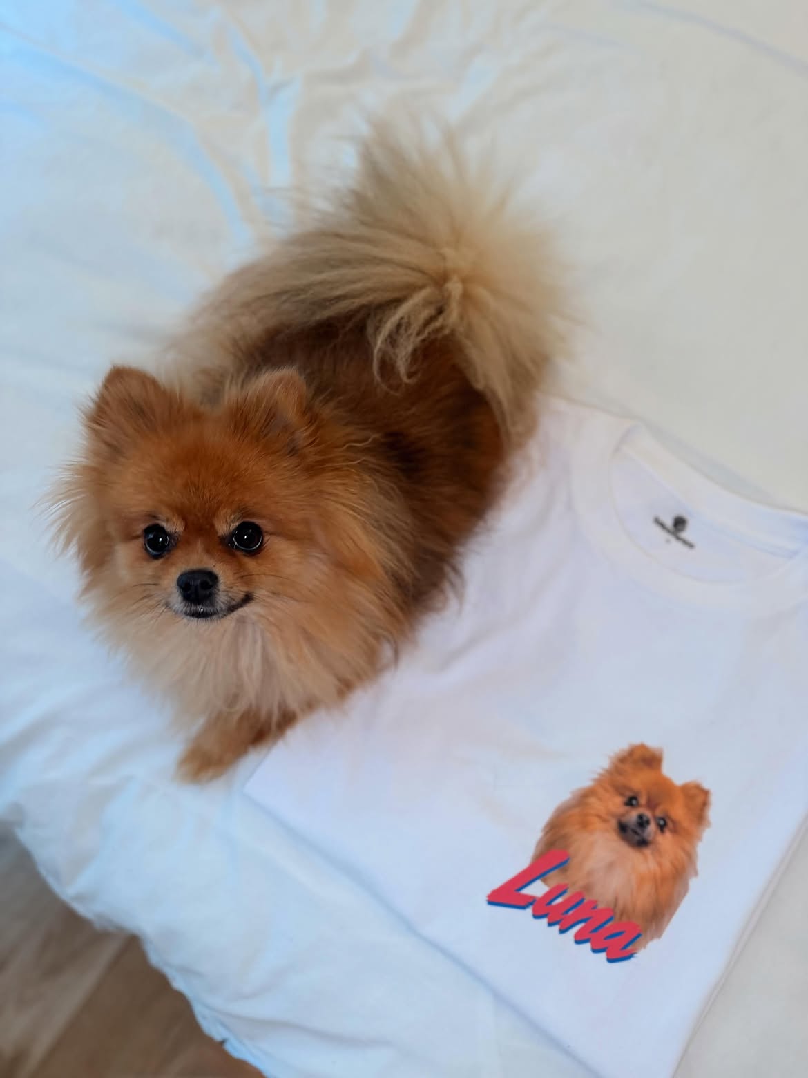 lunabear_pompom Facebook ad