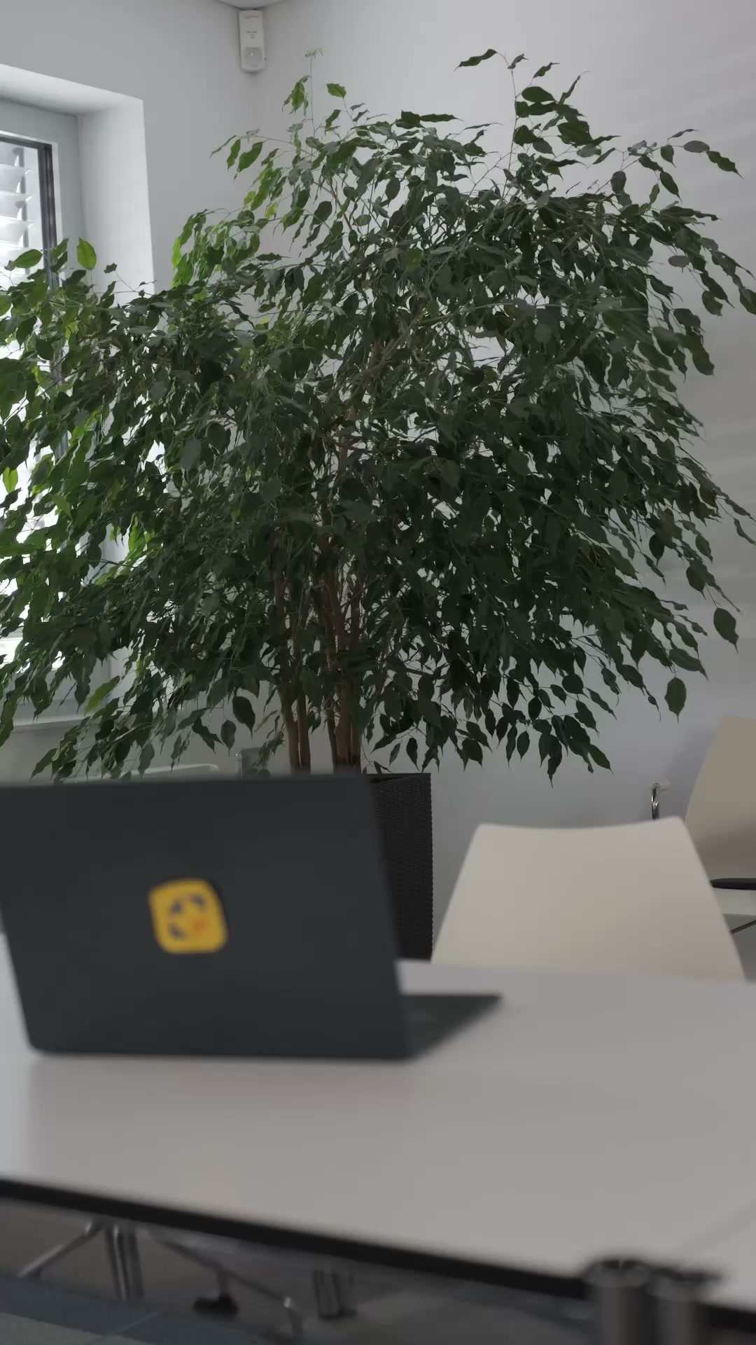 WISO MeinBüro Facebook ad: Weniger Büro. Mehr Zeit fürs Business.