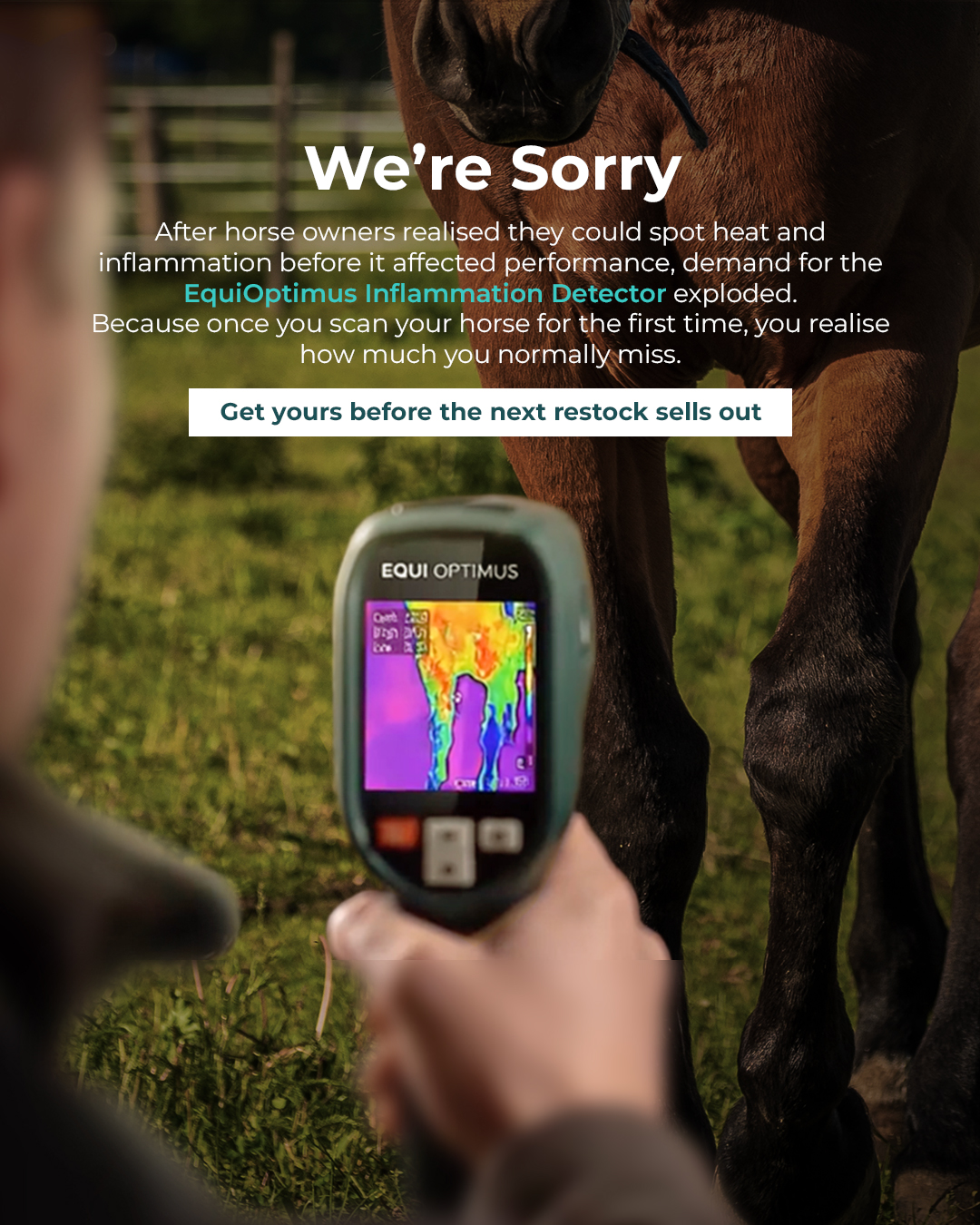 Chevaroo Facebook ad