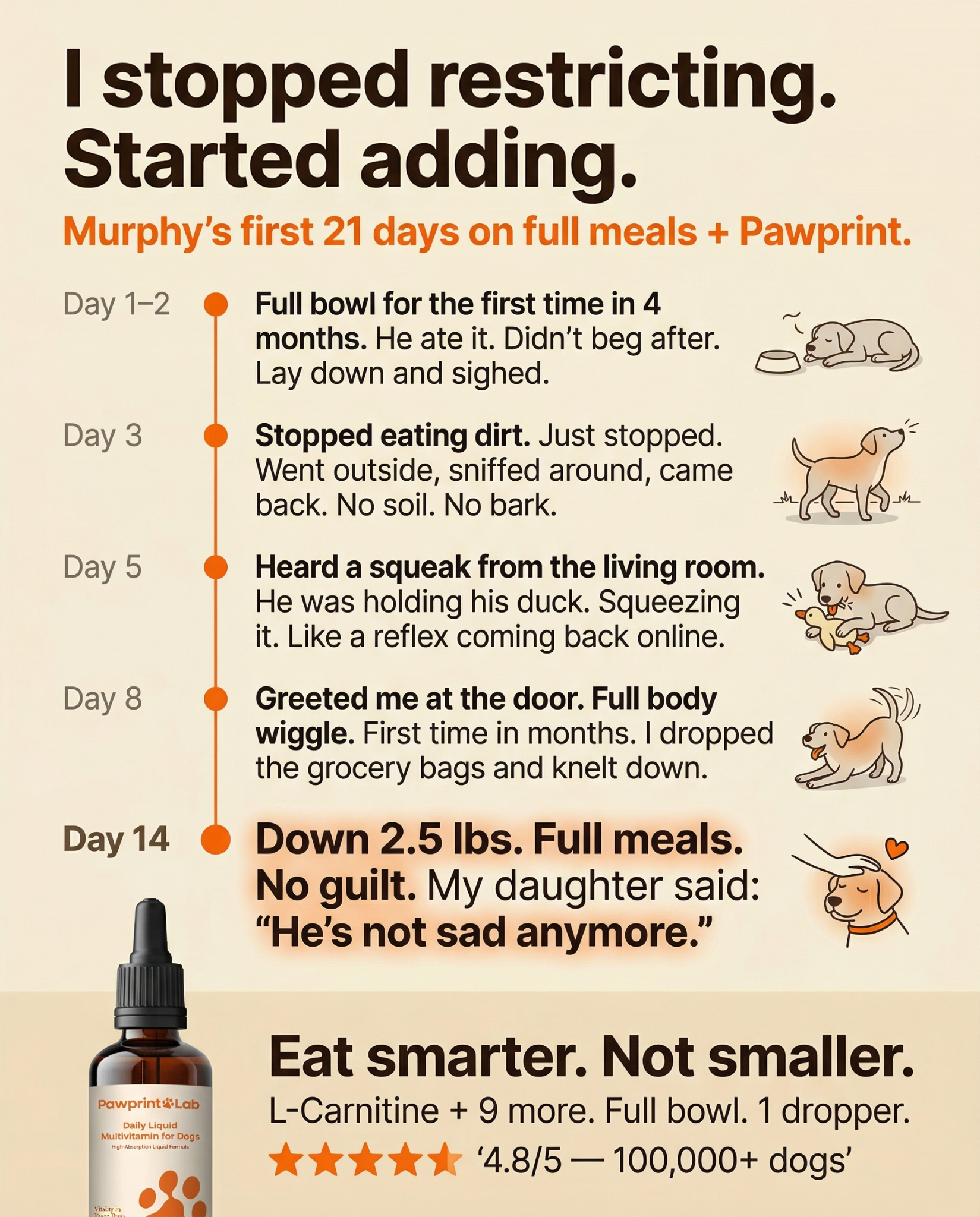 Vet-Approved Pet Products Facebook ad