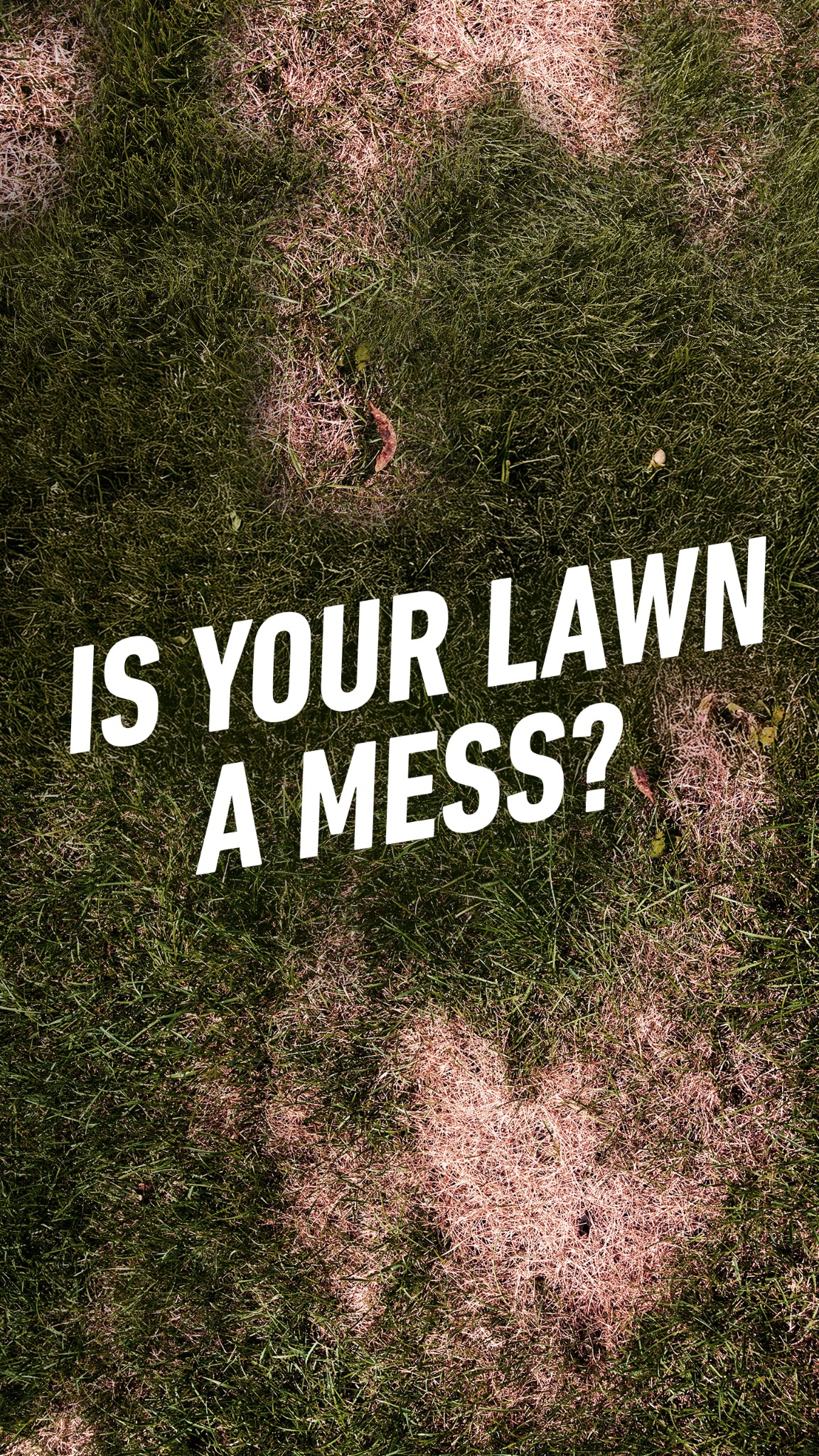 Scotts Lawn Care Facebook ad