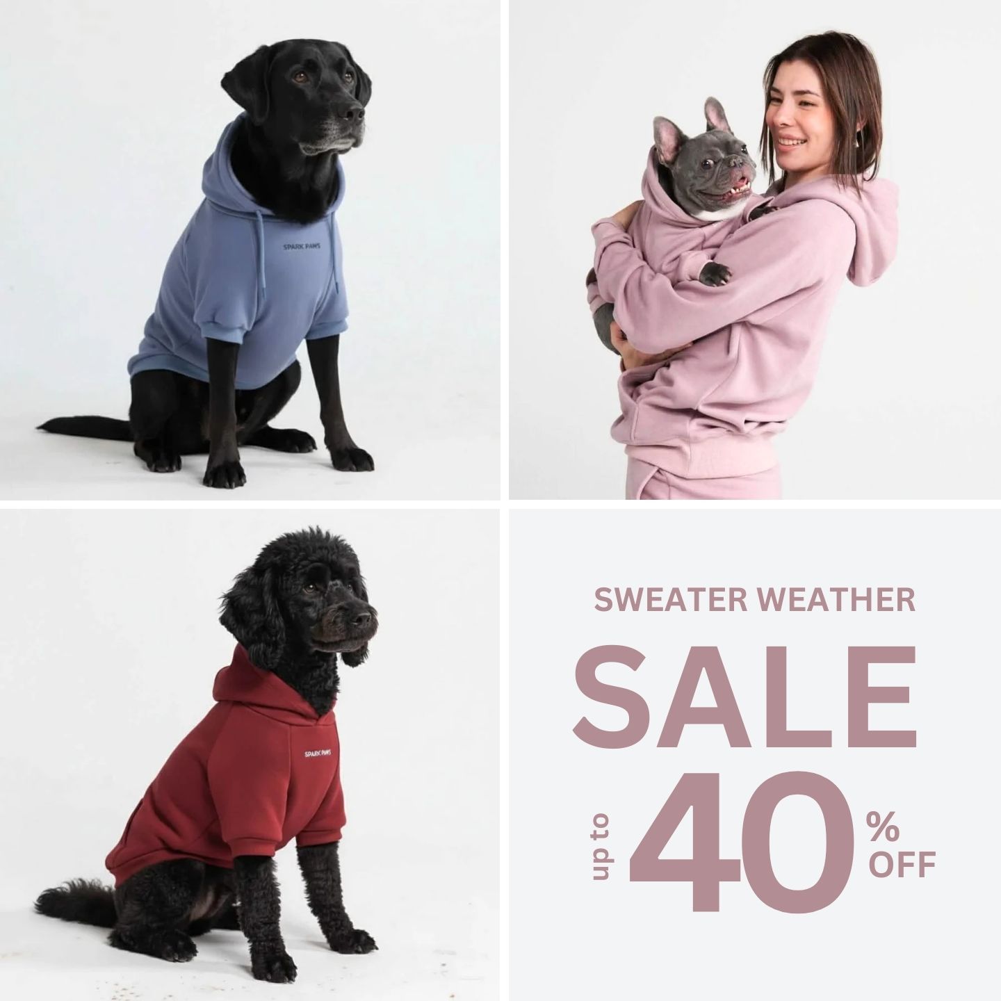 Spark Paws Facebook ad