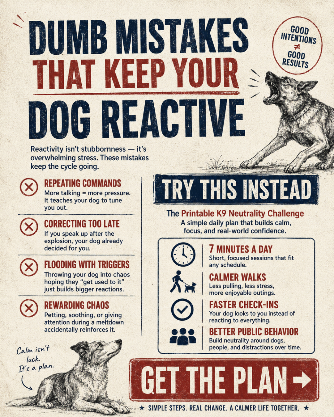 1st Dog Training Club Facebook ad
