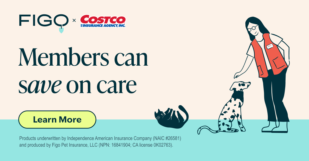 Figo Pet Insurance Facebook ad