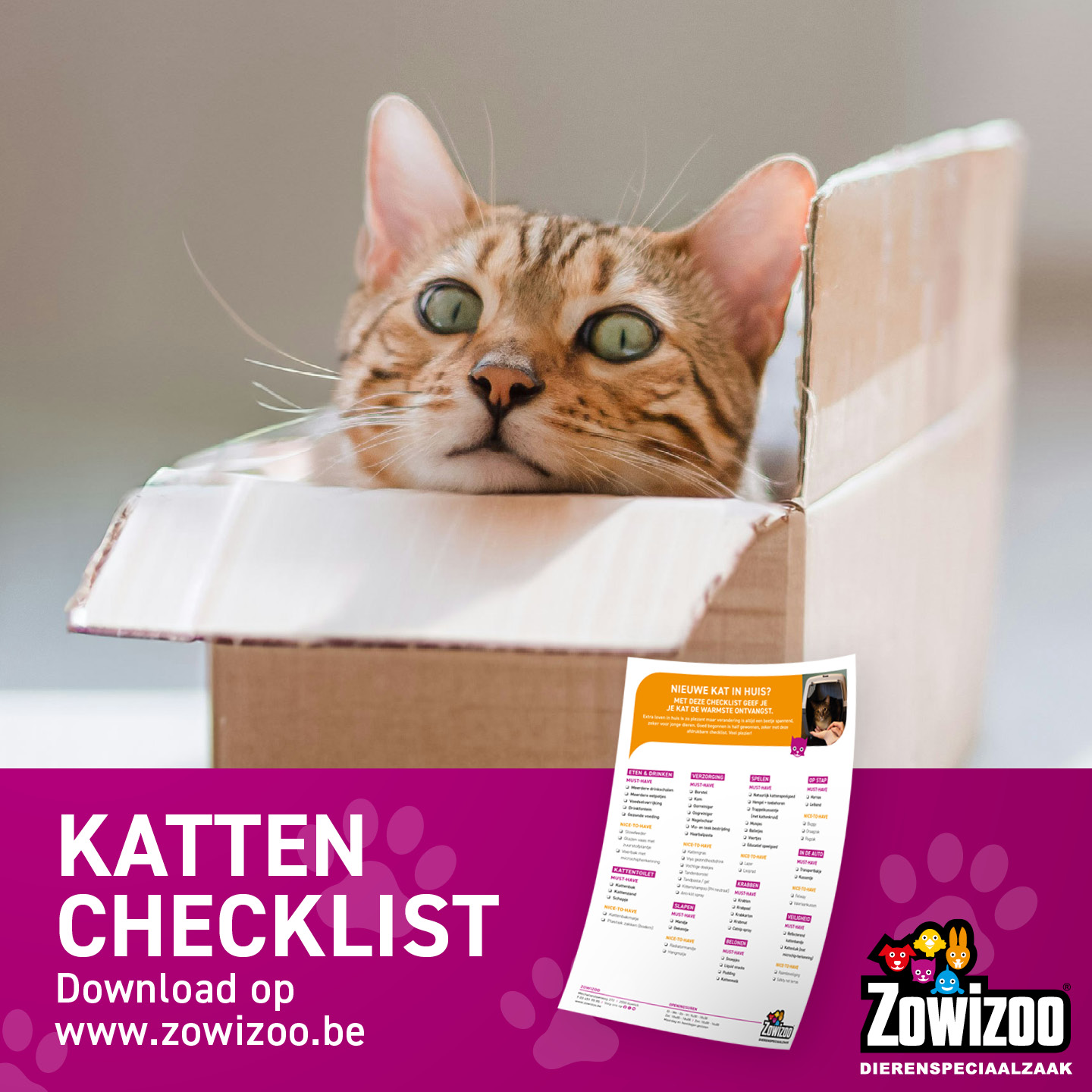 Zowizoo Facebook ad