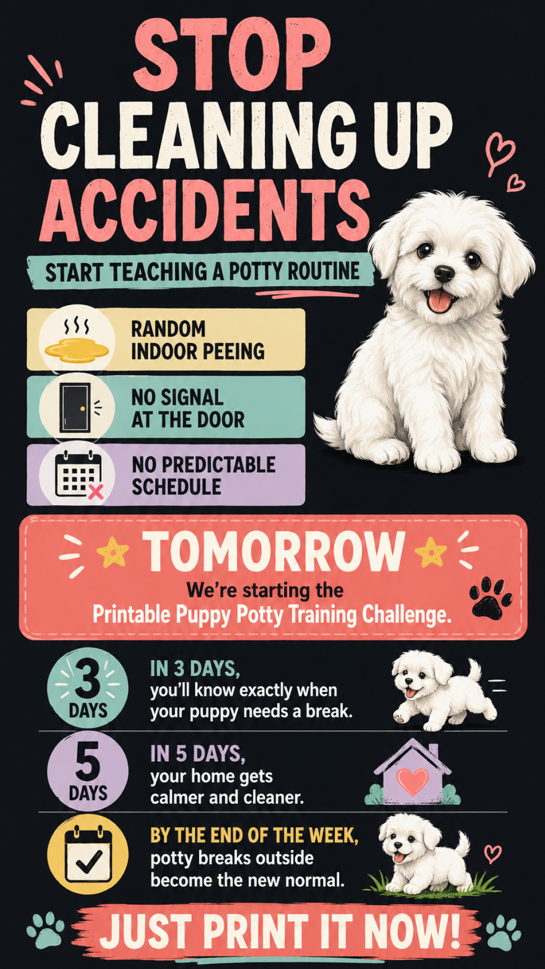 Ben Your Puppy Trainer Facebook ad