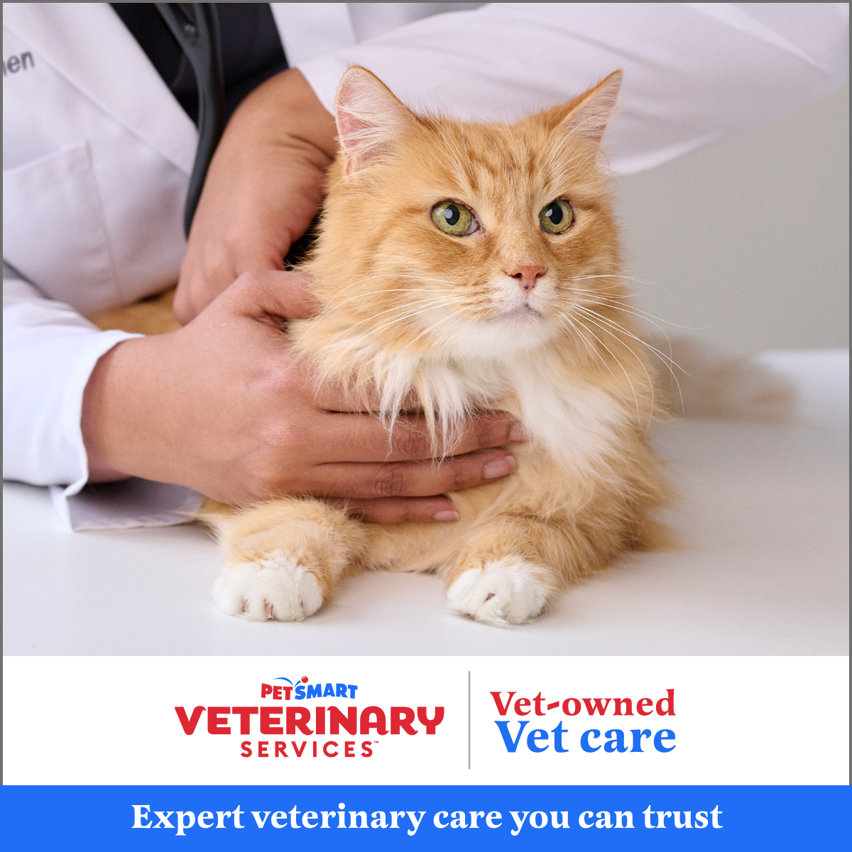 PetSmart Facebook ad