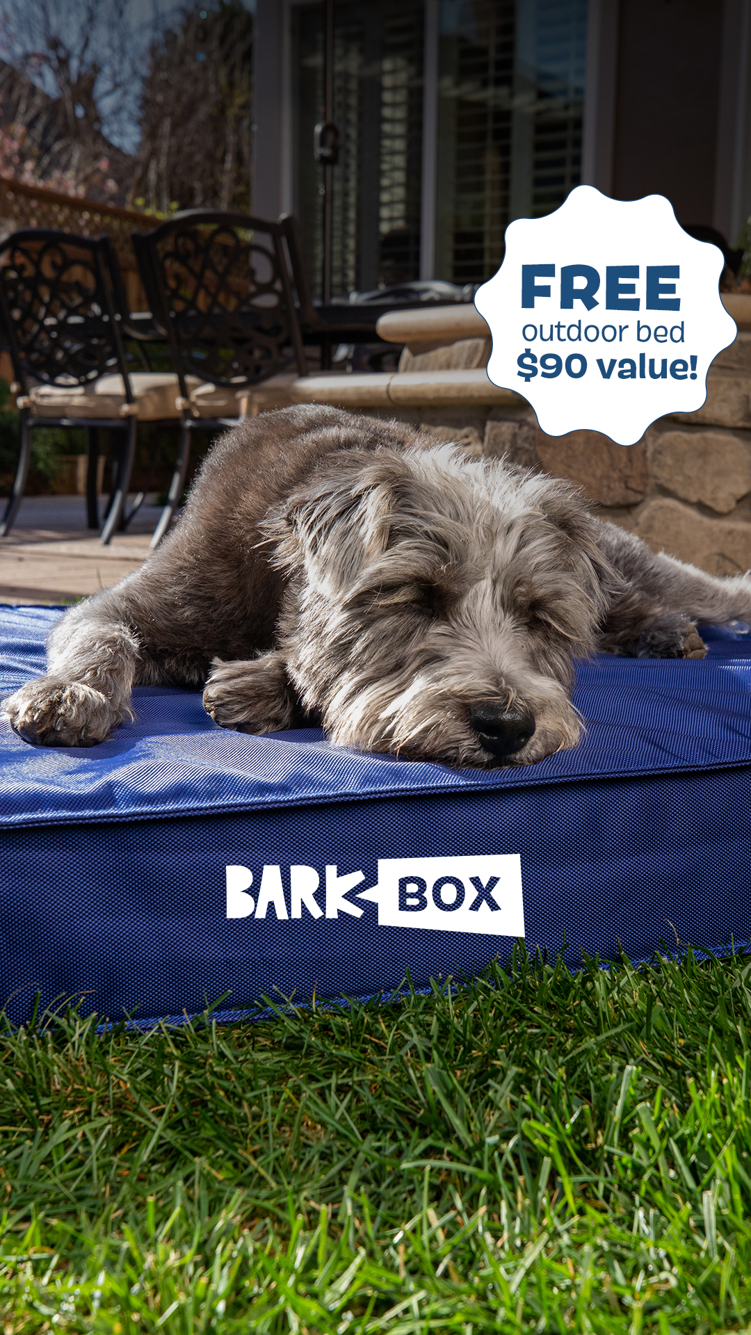 BarkBox Facebook ad