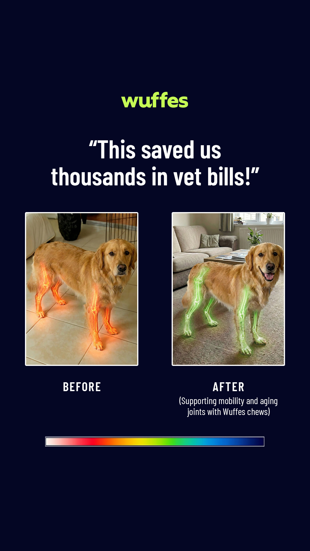 Everyday Pet Health Facebook ad