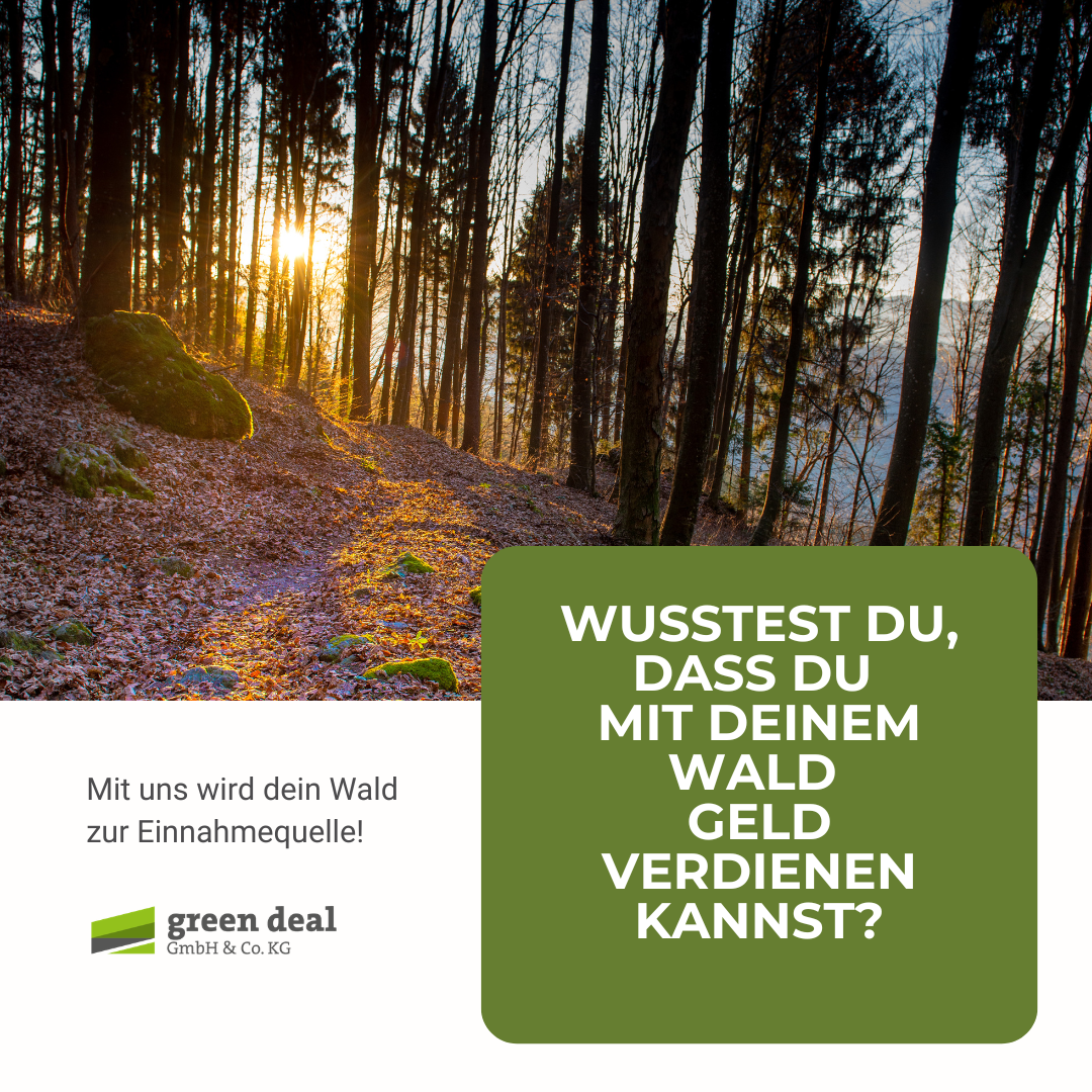 GS Company GmbH & Co. KG Facebook ad: Dein Wald als Einnahmequelle!