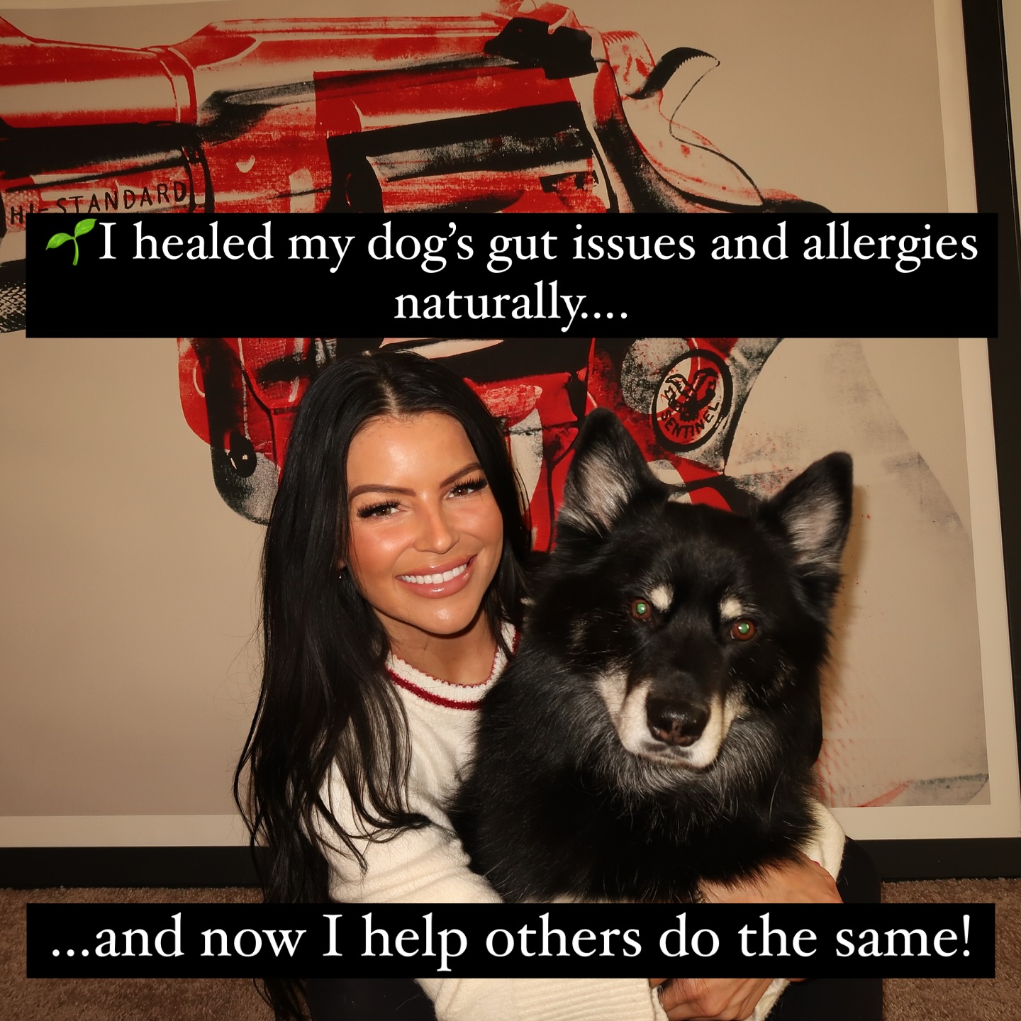 Pure and Raw Canine Nutrition Facebook ad: I healed my dog’s gut & allergies naturally-and…