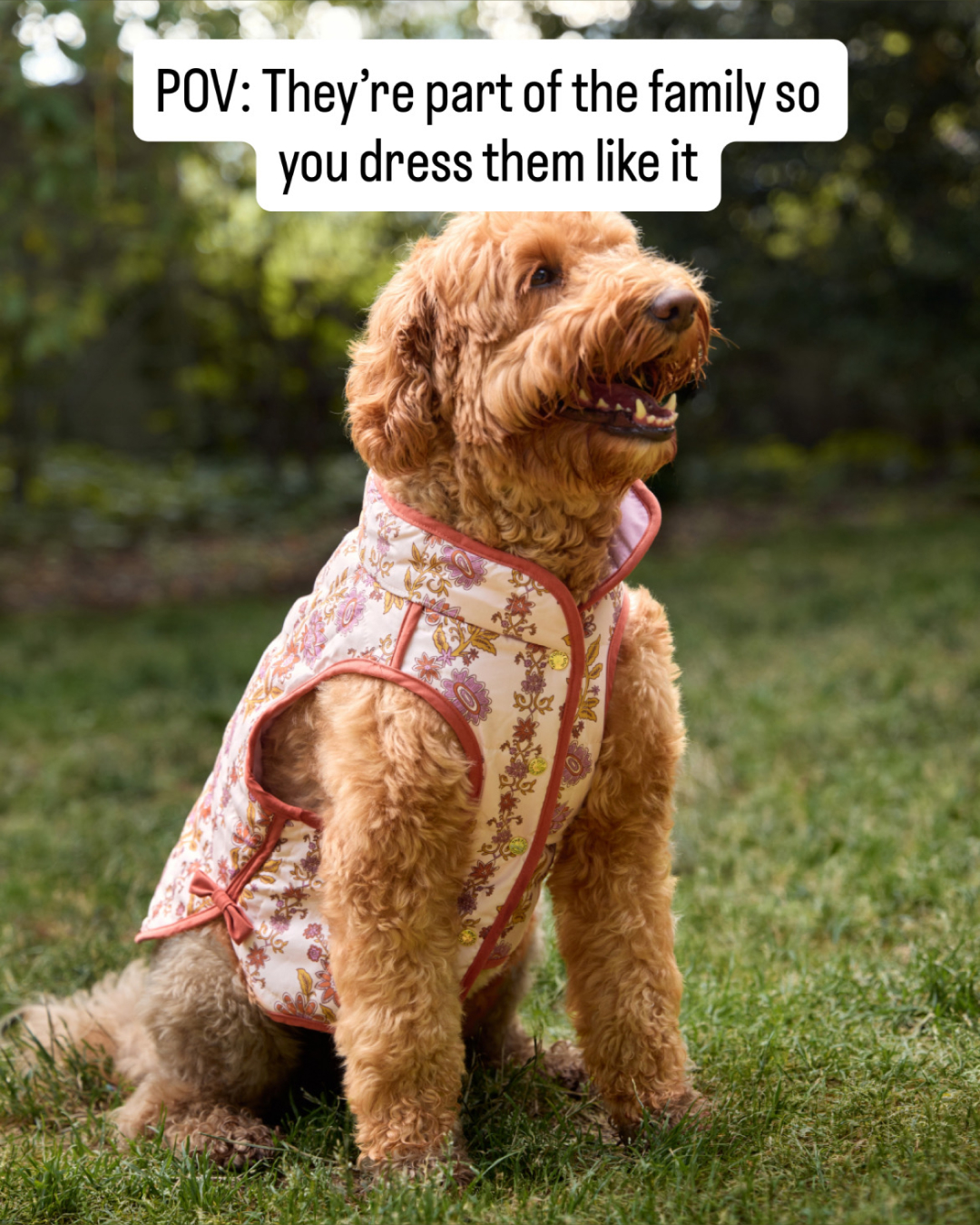 The Foggy Dog Facebook ad