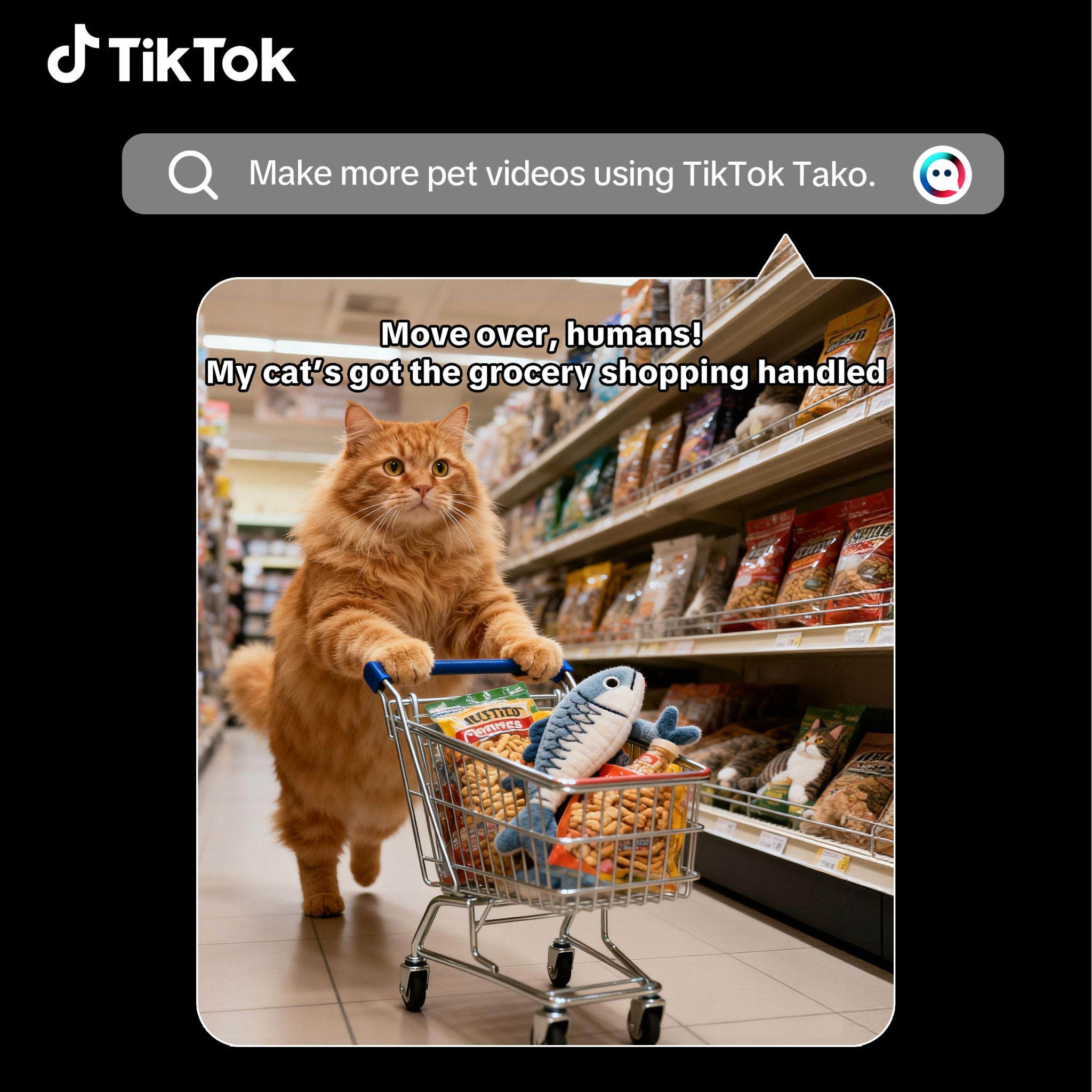 TikTok Global Facebook ad