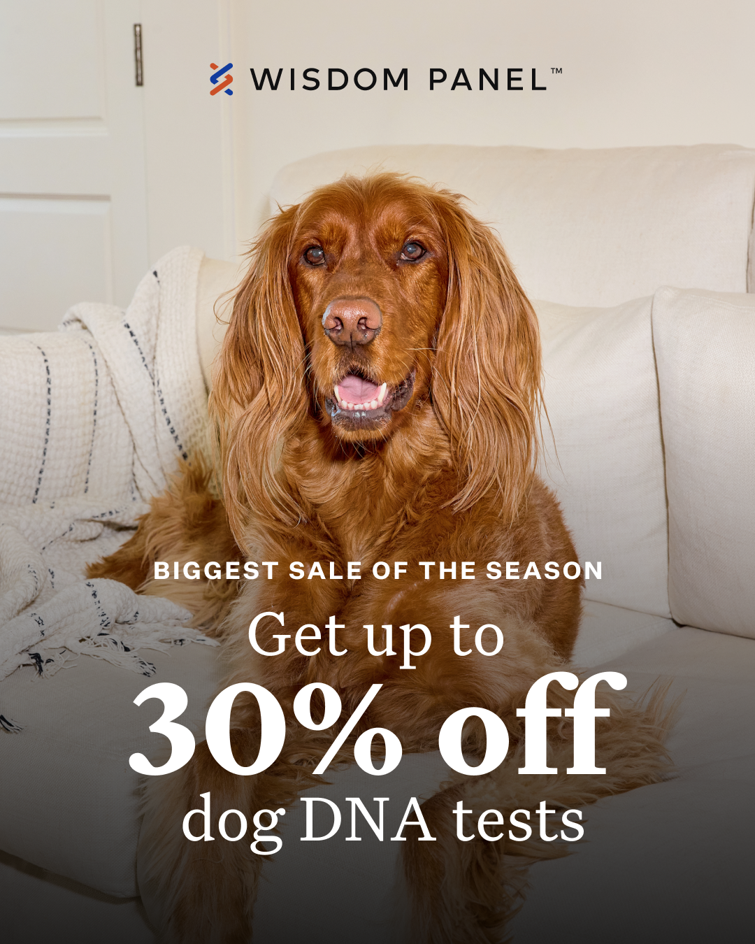 Wisdom Panel Facebook ad