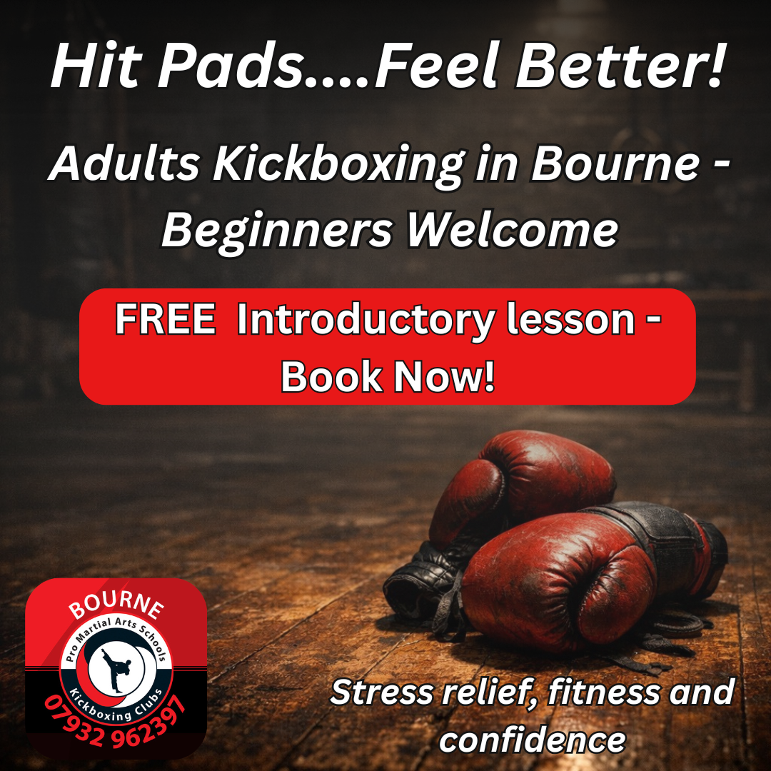 Pro Martial Arts Schools Bourne Facebook ad: FREE Introductory Lesson, Discounted Uniform & Licence Pack