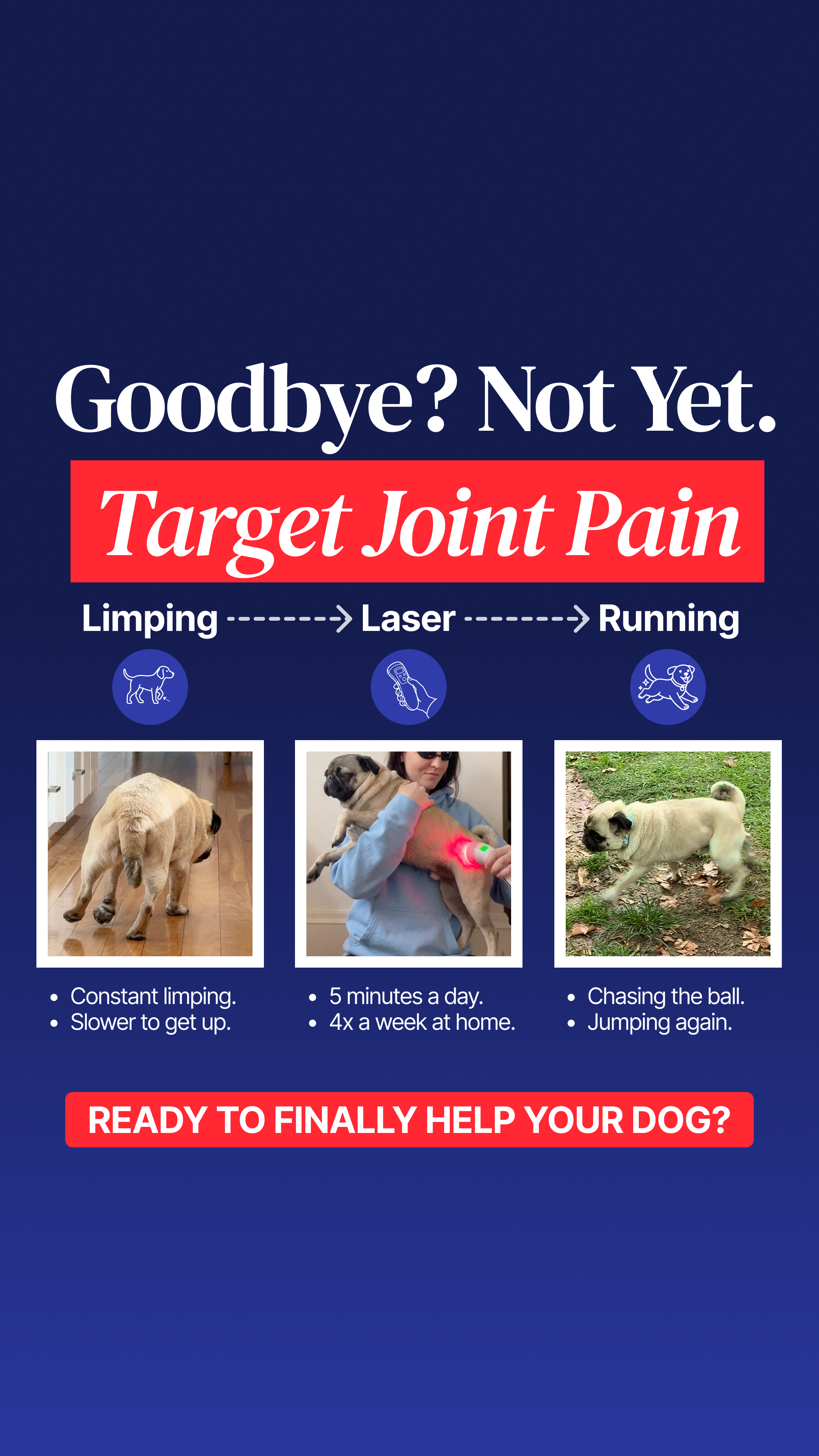 Helio Pet Facebook ad
