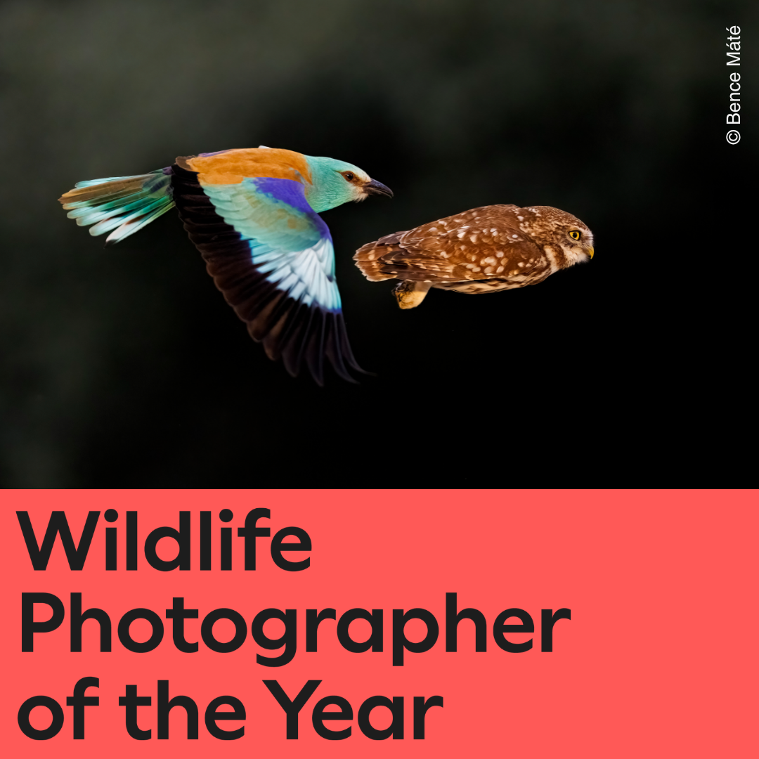 Adelaide Botanic Garden Facebook ad: Discover the world's best nature photography in a…
