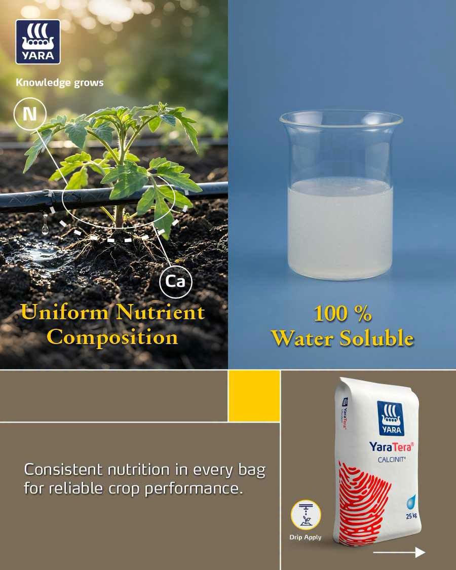 Yara India Facebook ad: 𝐓𝐚𝐫𝐠𝐞𝐭𝐞𝐝 𝐍𝐮𝐭𝐫𝐢𝐭𝐢𝐨𝐧, 𝐒𝐮𝐩𝐞𝐫𝐢𝐨𝐫…