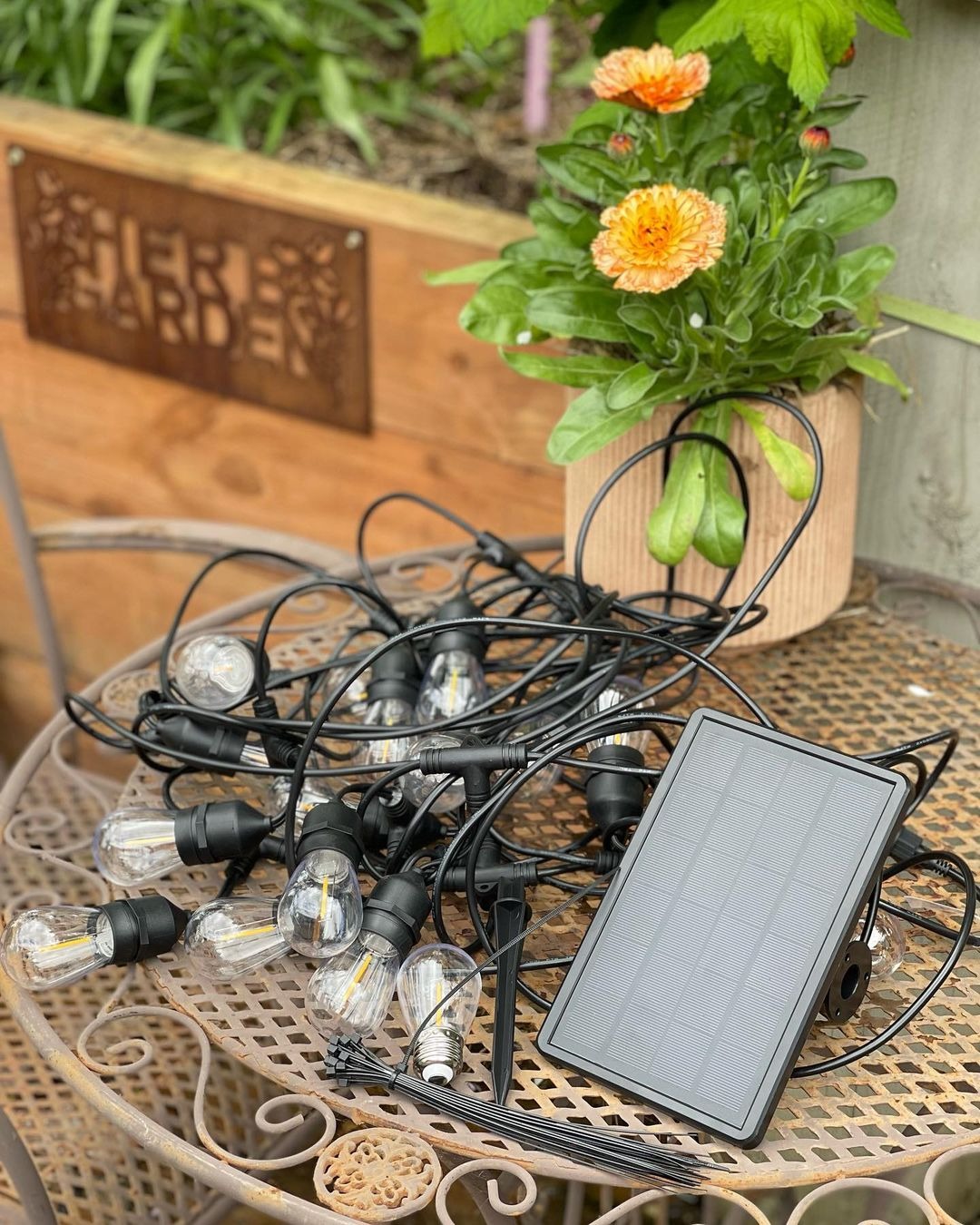 Garden Light Reviews Facebook ad