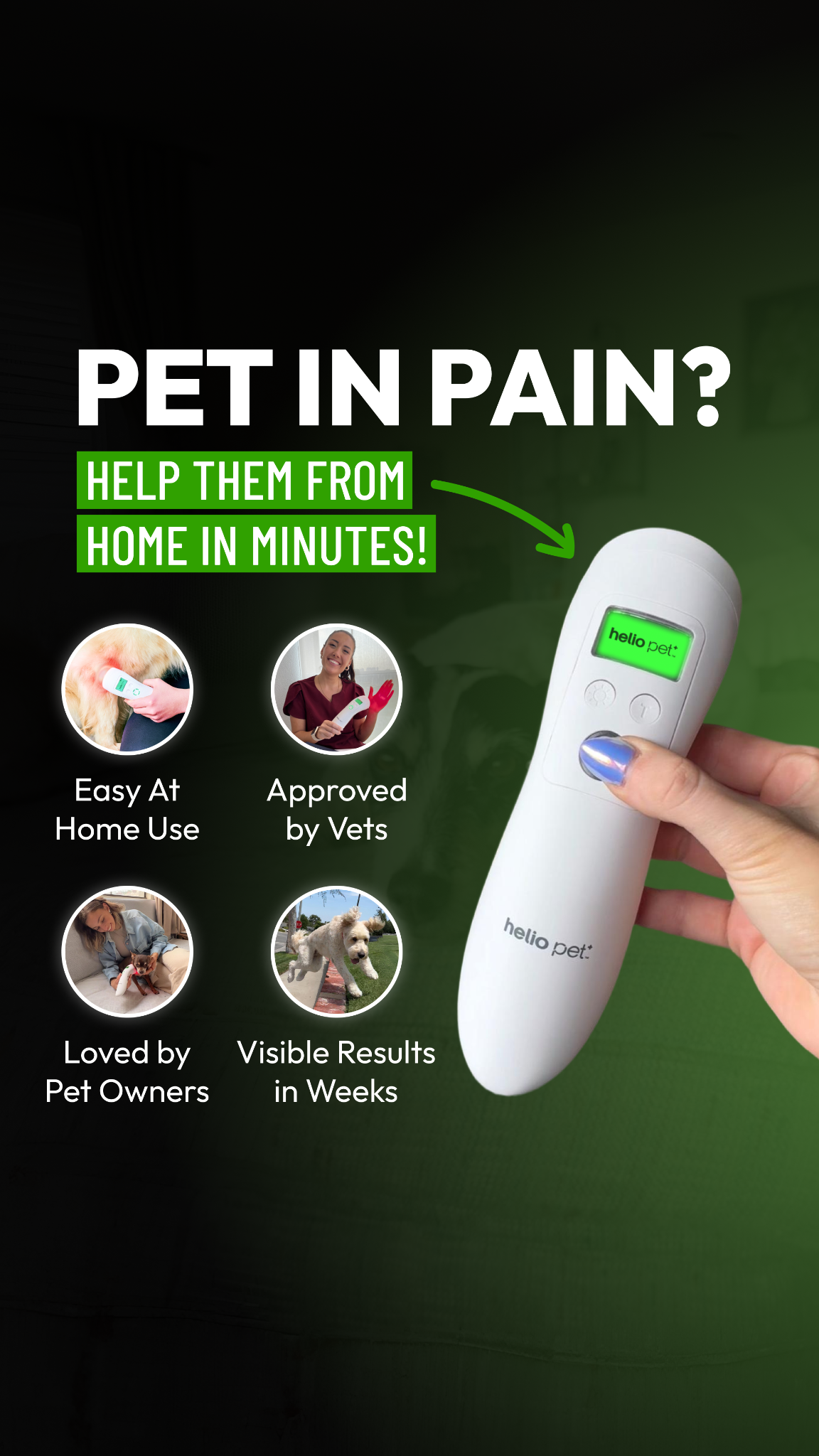 Helio Pet Facebook ad