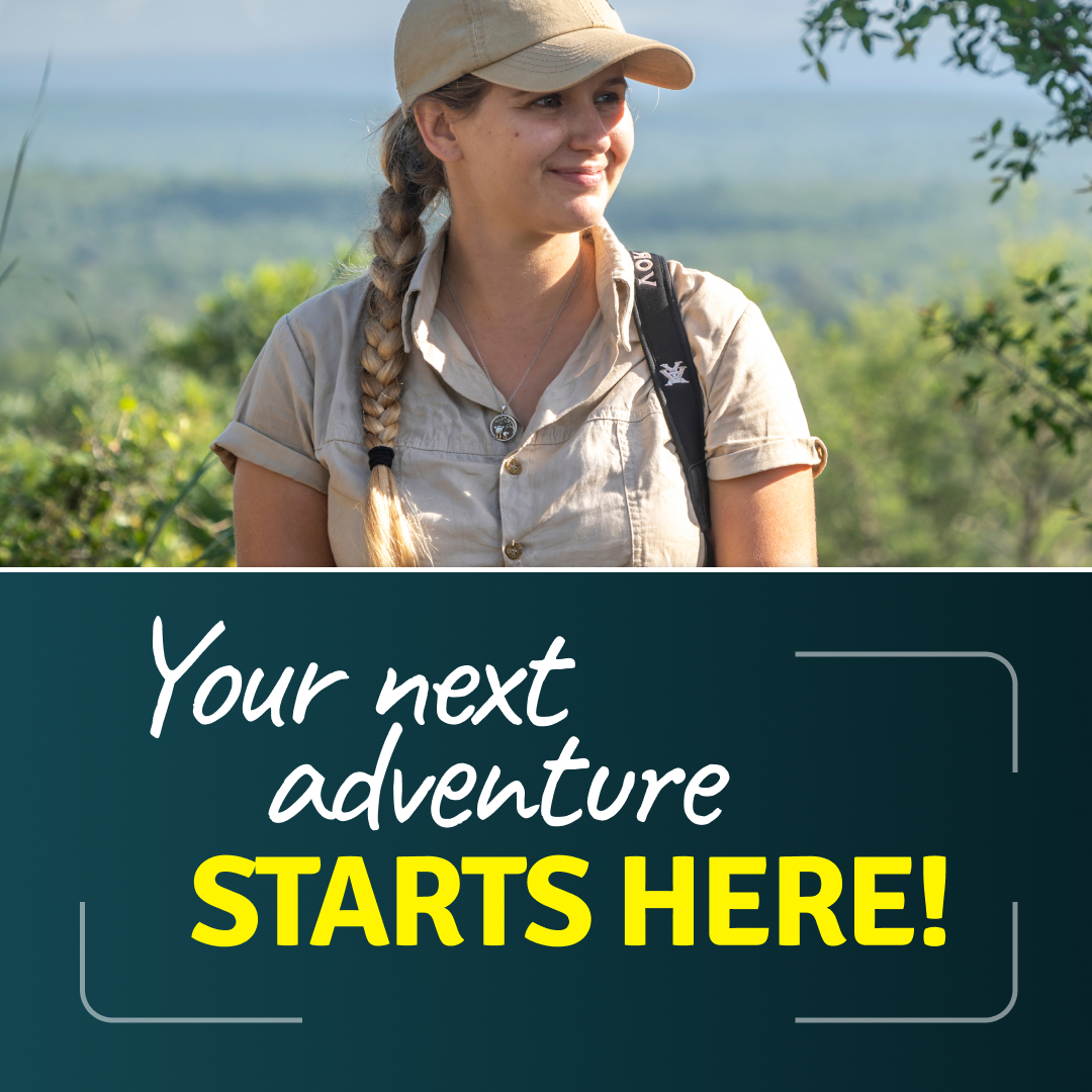 Bushwise Facebook ad
