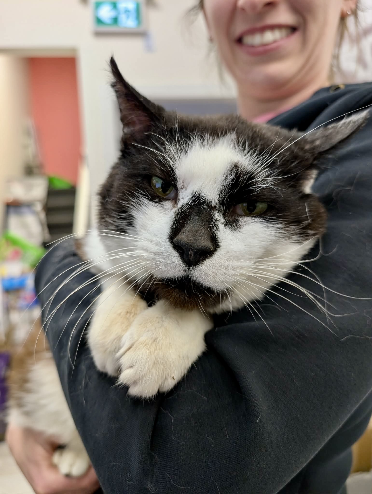 BC SPCA (BCSPCA) Facebook ad
