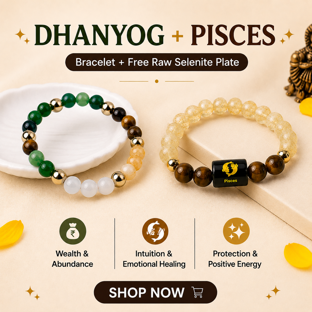Vedic Astro Facebook ad