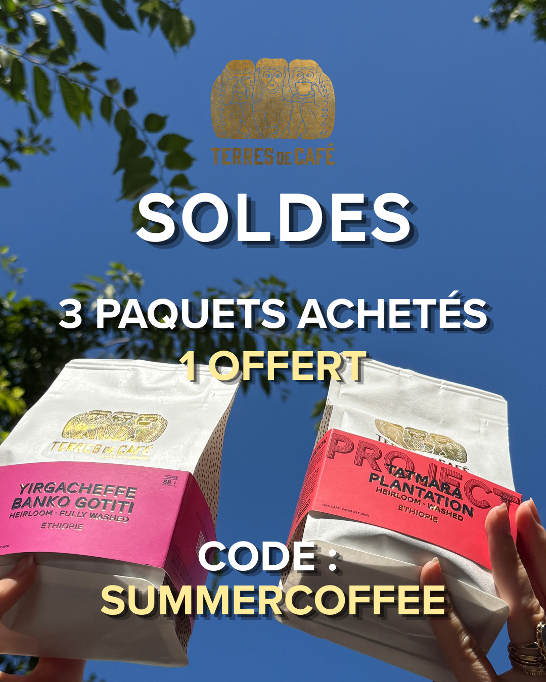 Terres de café Facebook ad