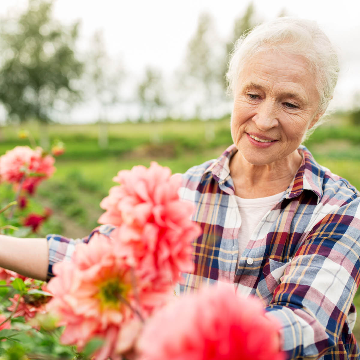 Laurel Heights Senior Living Facebook ad from May 19, 2026