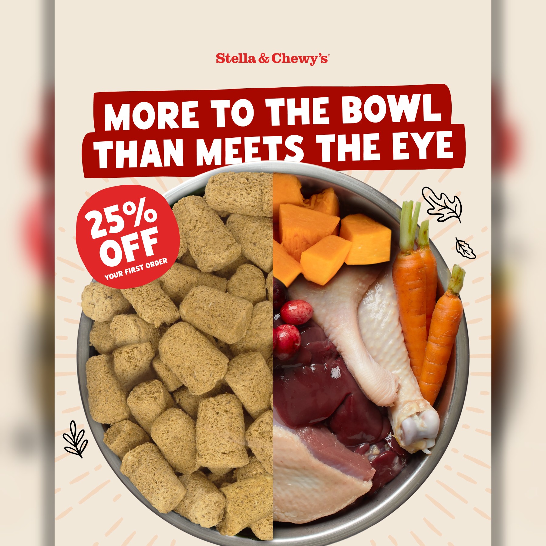 Stella & Chewy's Facebook ad: The Best of Fall, Built Right In