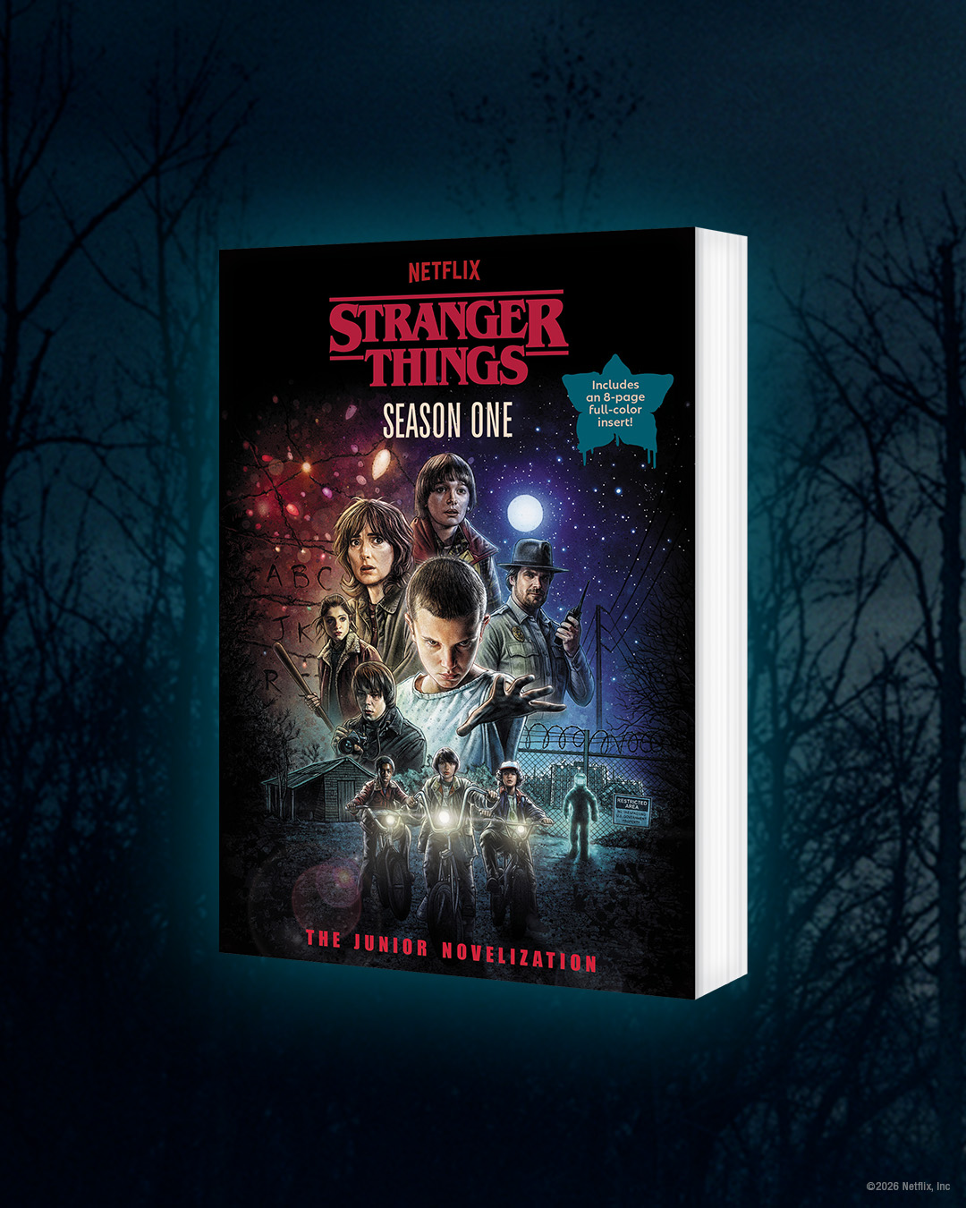 Random House Children's Books Facebook ad