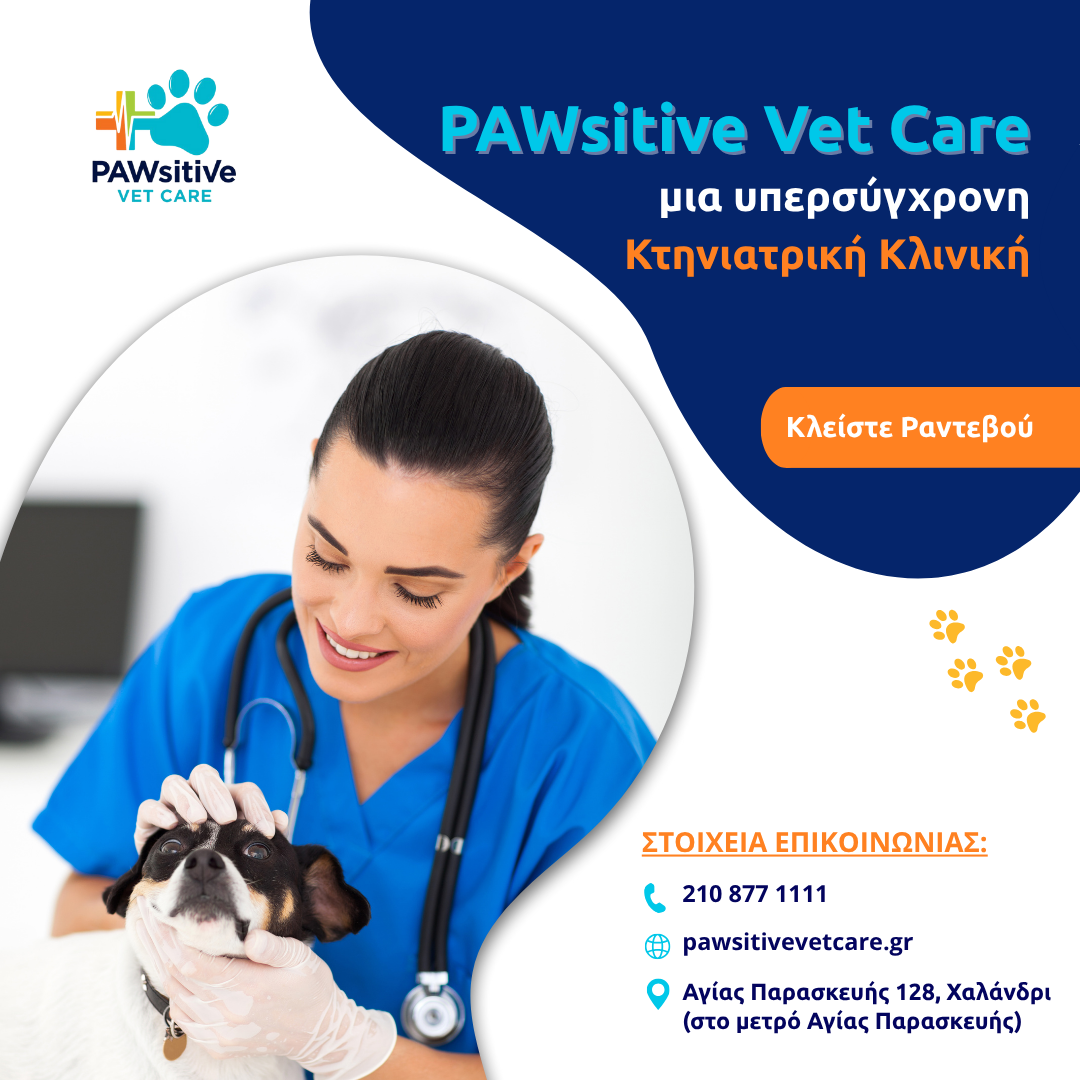 Pawsitive Vet Care Facebook ad: Στην 𝗣𝗔𝗪𝘀𝗶𝘁𝗶𝘃𝗲 𝗩𝗲𝘁 𝗖𝗮𝗿𝗲 φροντίζουμε το…